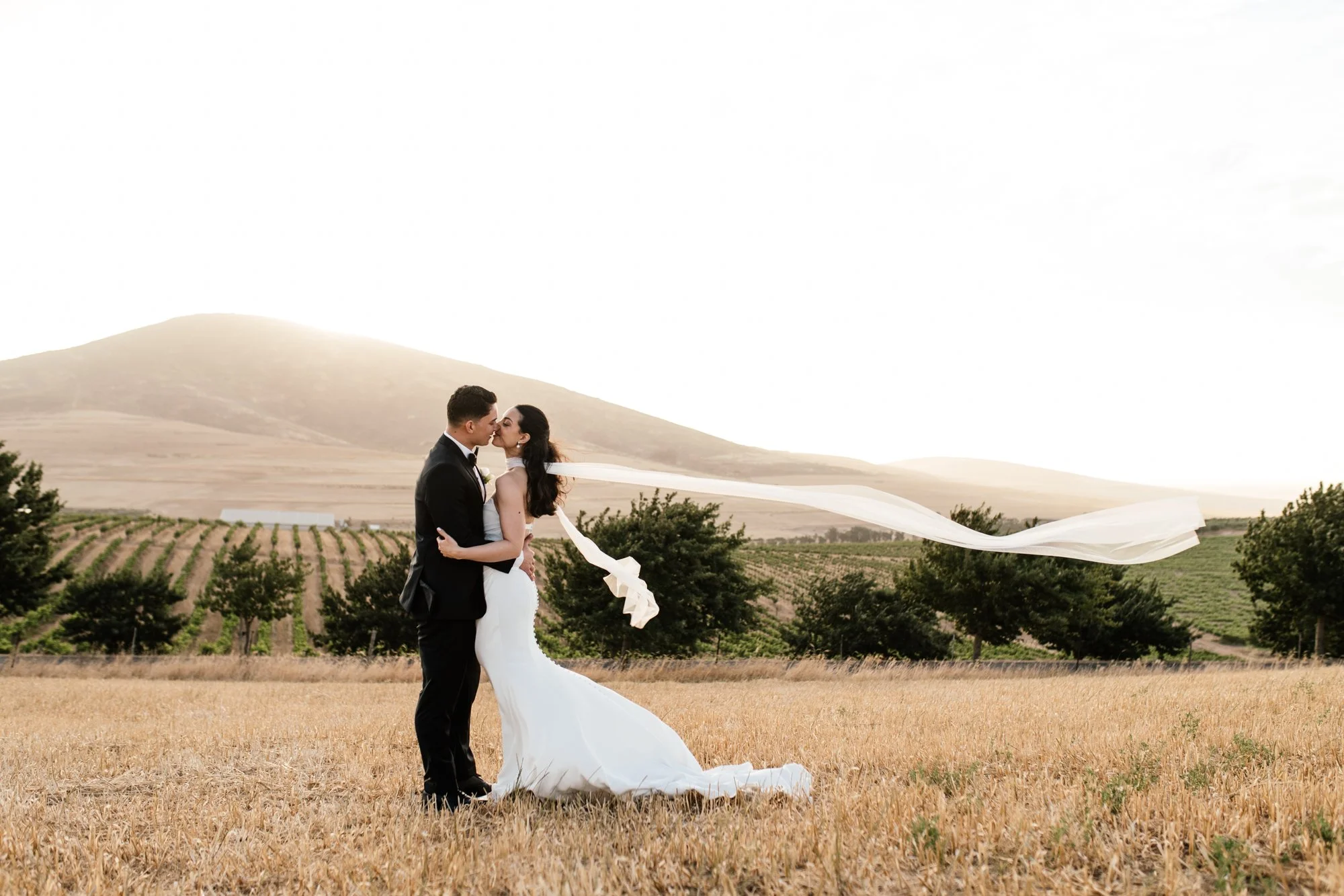 A bride and groom sharing a kiss in a rural field with rolling hills and vineyard rows in the background, during a wedding photoshoot.