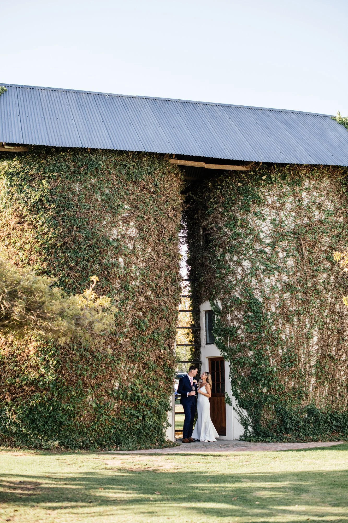 A bride and groom dancing and talking outside a building with walls covered in green ivy, under a corrugated metal roof, during daylight.