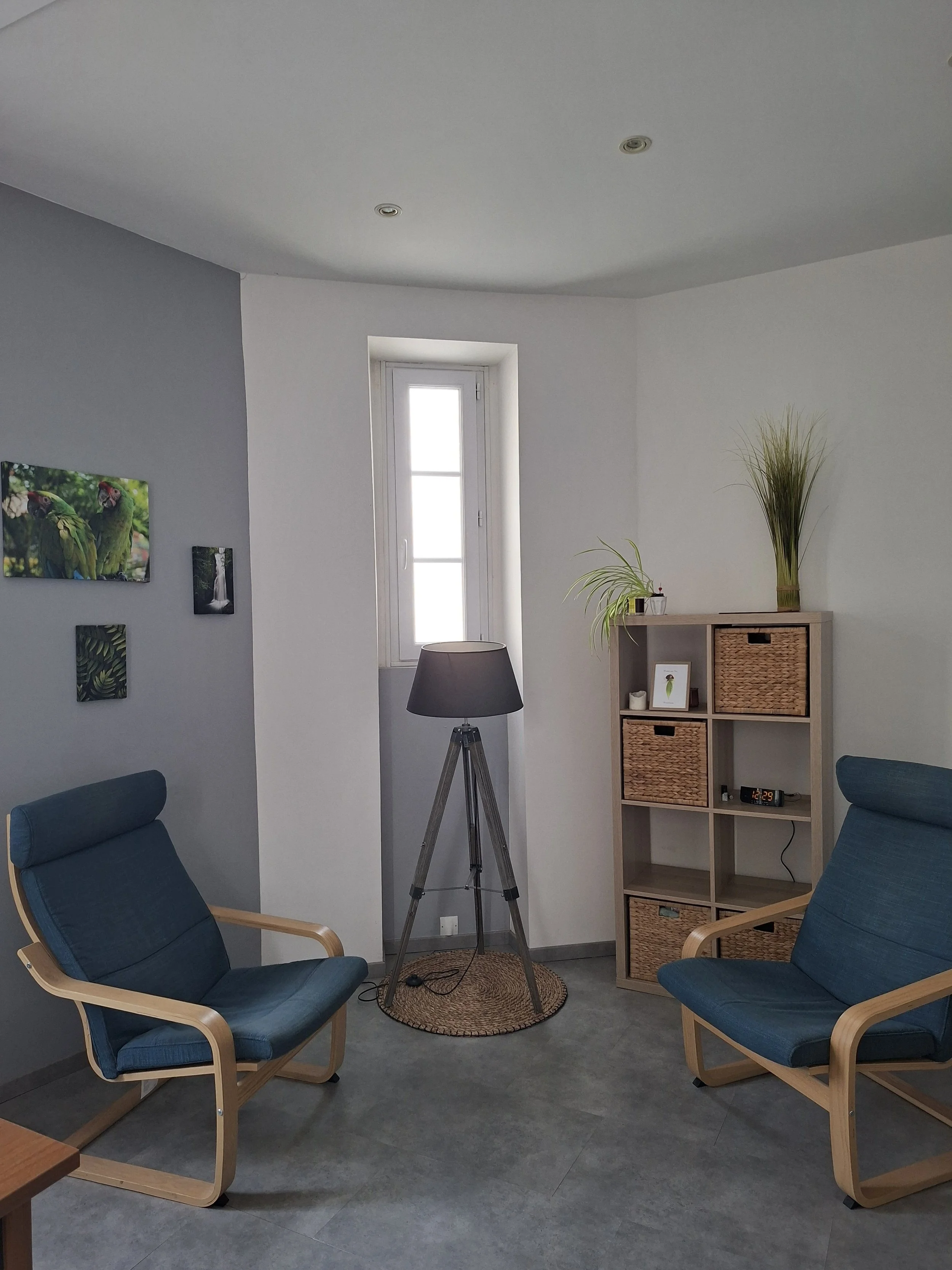 Un salon intérieur avec deux fauteuils bleus en bois, une étagère en bois avec des paniers en osier, une lampe sur un trépied, une fenêtre, des tableaux muraux et des plantes décoratives.