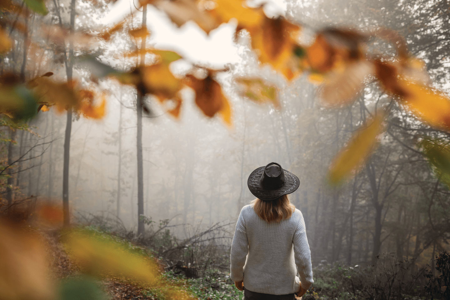 Une personne vue de dos portant un chapeau noir, marchant dans une forêt brumeuse en automne, entourée de feuilles jaunes et orange.