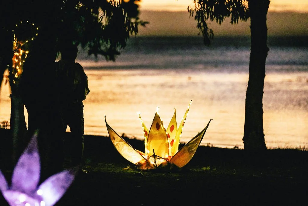 lotus on dusk.jpeg