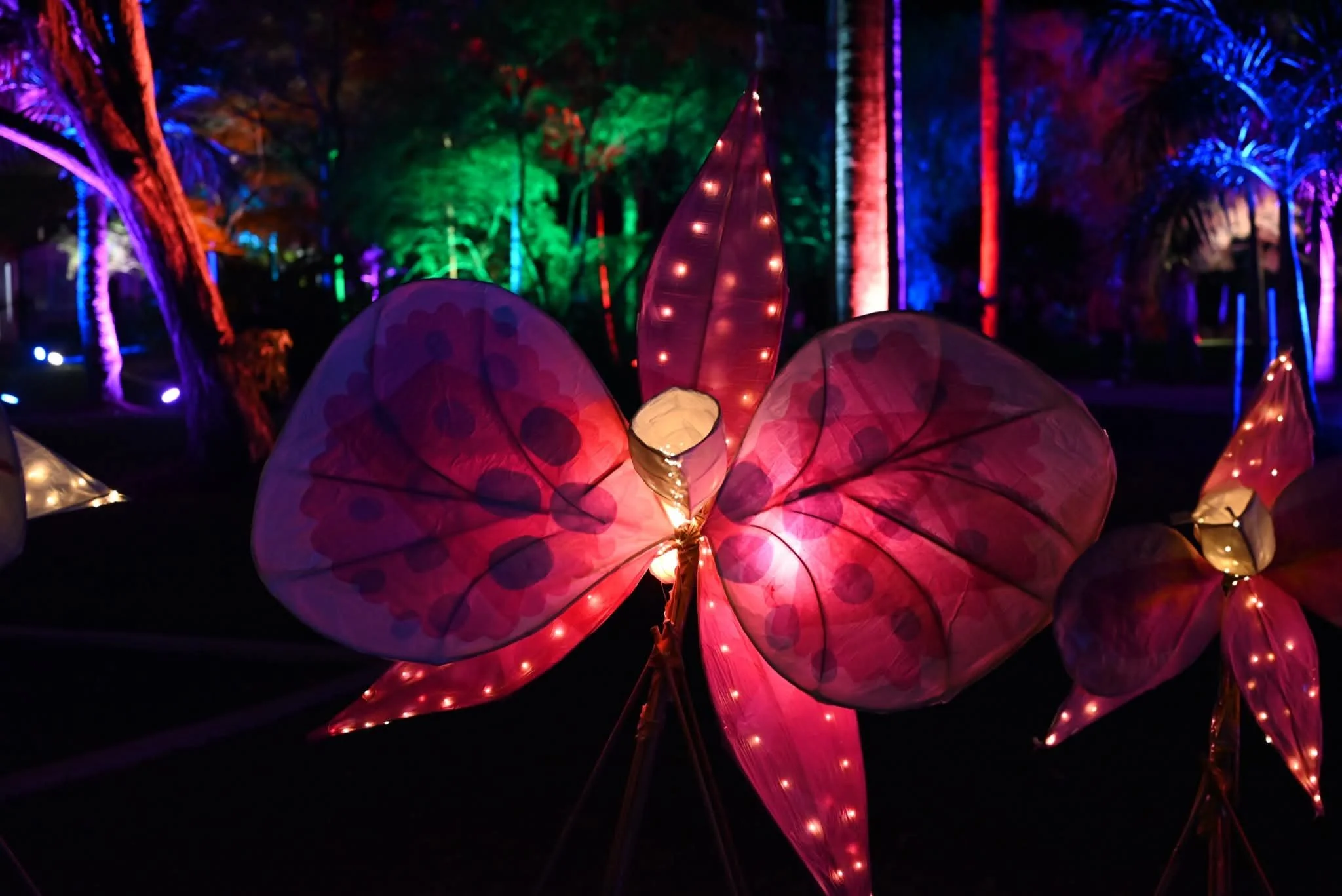 Colorful illuminated lanterns shaped like flowers at night with trees and lights in the background.
