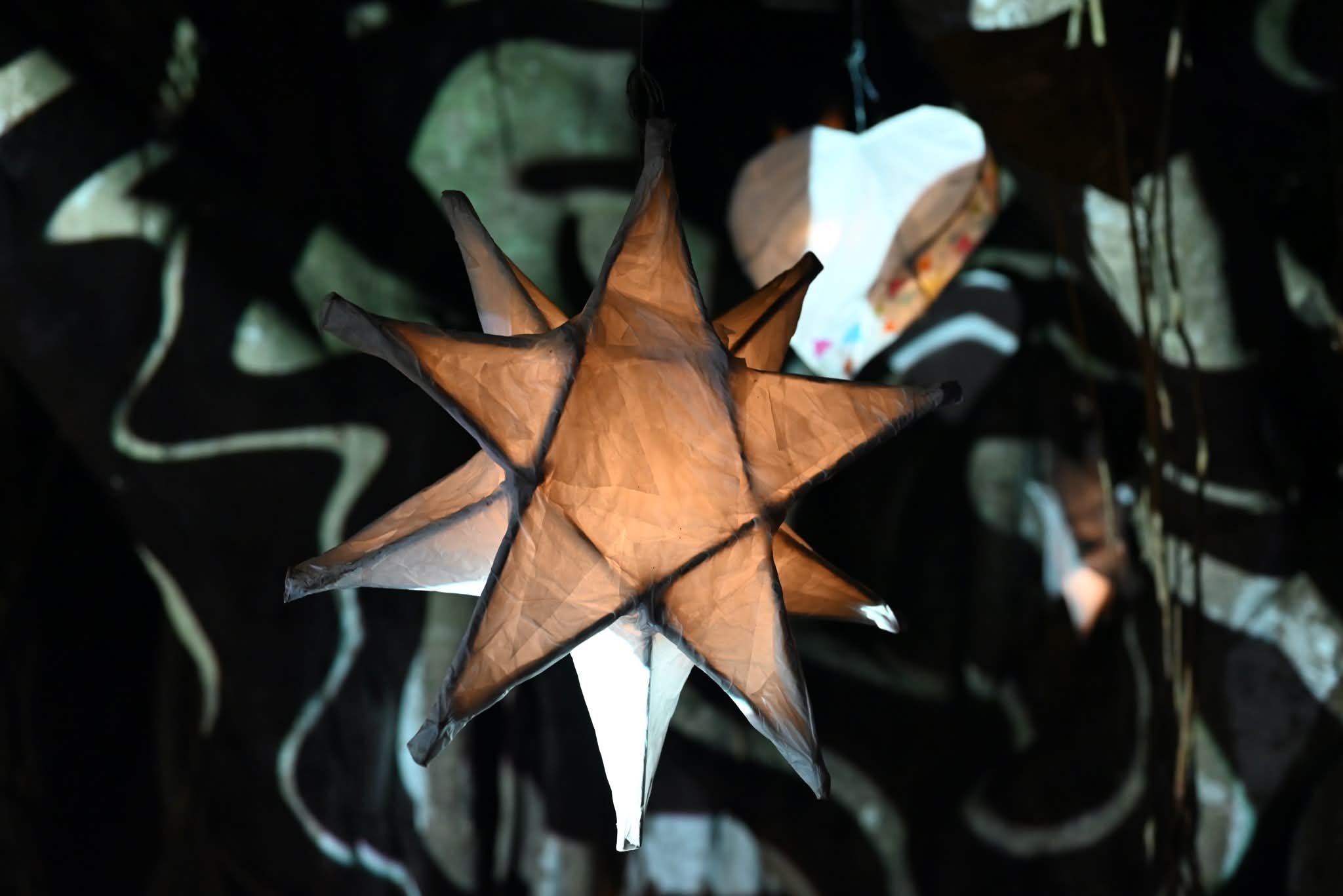 An illuminated star-shaped paper lantern hanging from a tree with blurred greenery backdrop.