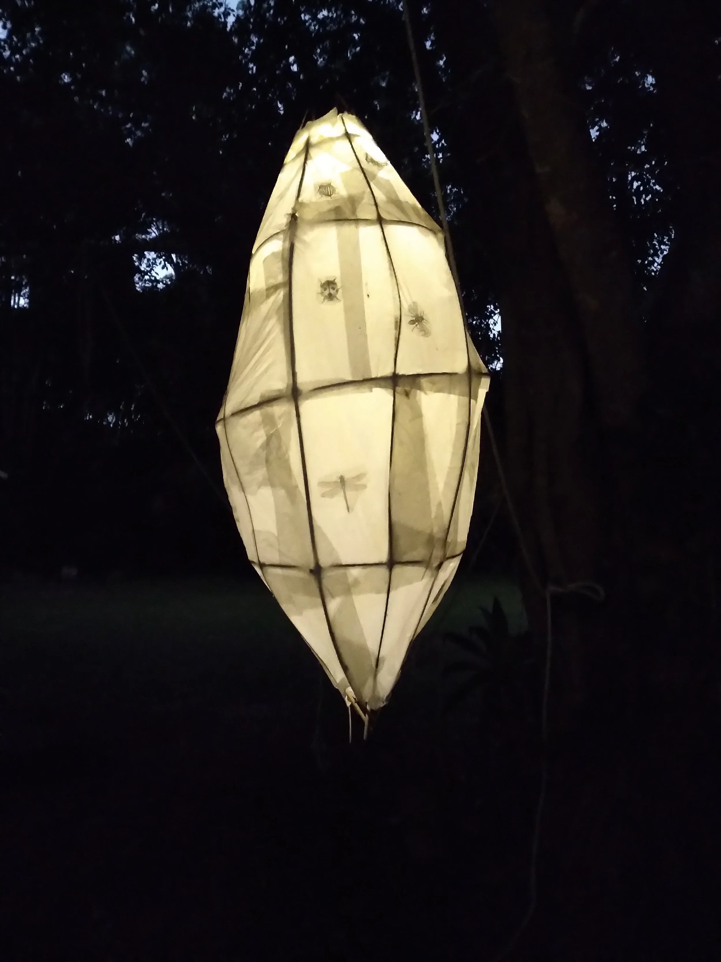 A glowing paper lantern hanging outdoors at night, illuminated from within, surrounded by dark trees.