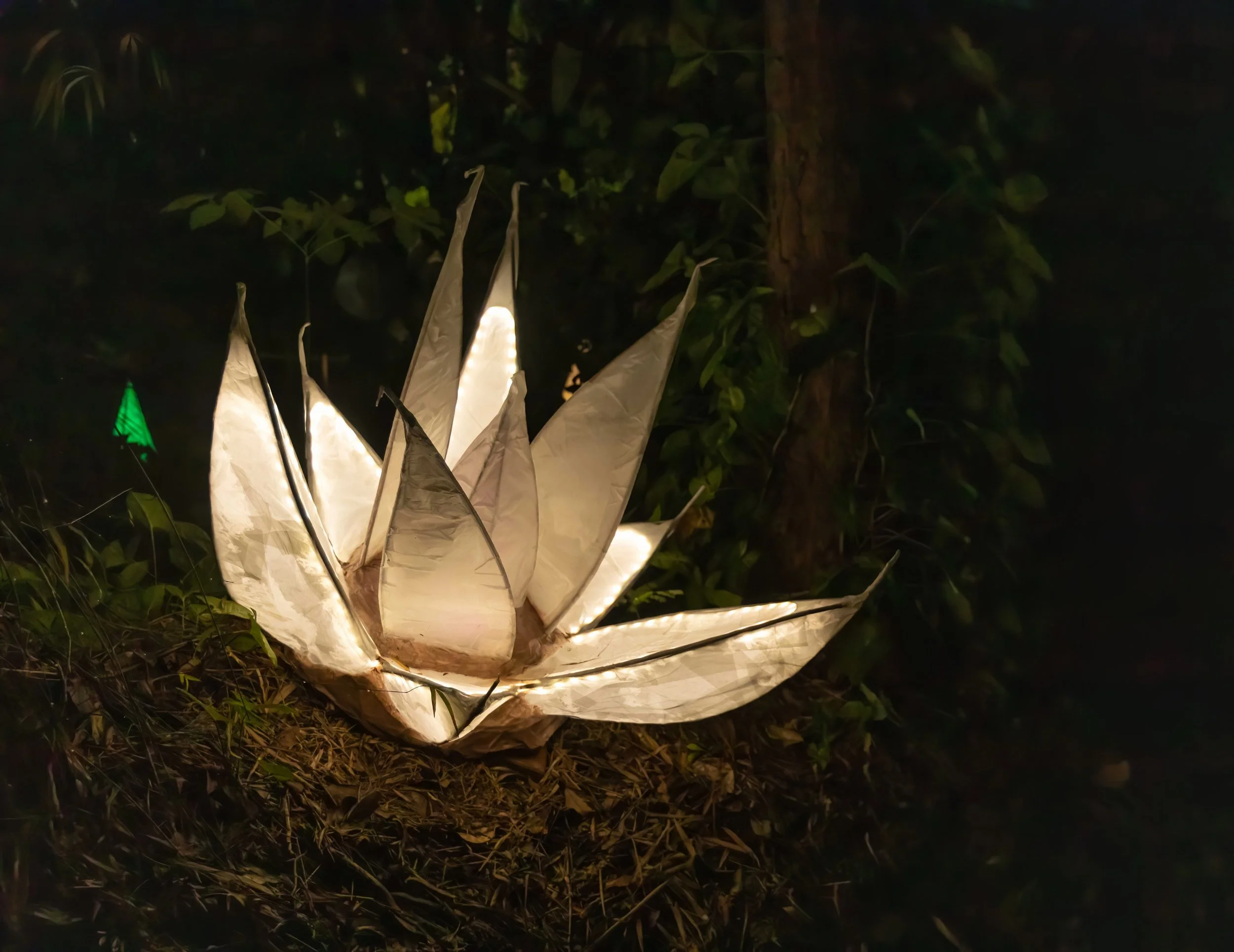 A glowing decorative light resembling a flower or star shape with multiple pointed petals or rays, illuminated in a dark outdoor setting surrounded by leaves and plants.