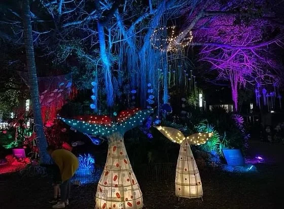 Decorative illuminated trees with colorful lights at night.