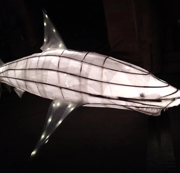A shark-shaped inflatable lamp with internal lighting, displayed indoors at night.