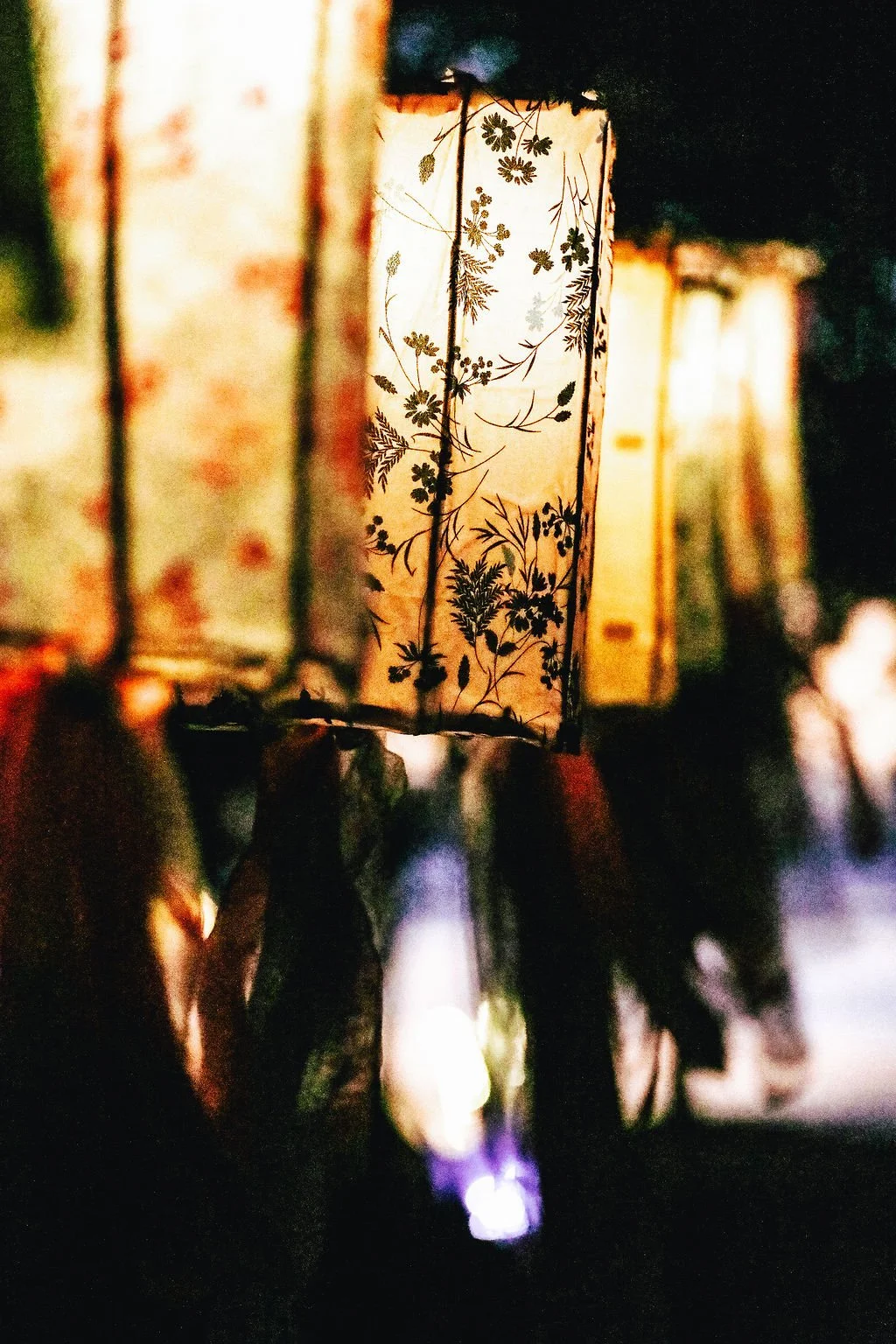 chinese lanterns 2.jpeg