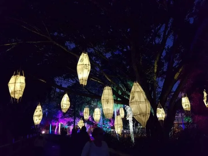 Collaborations