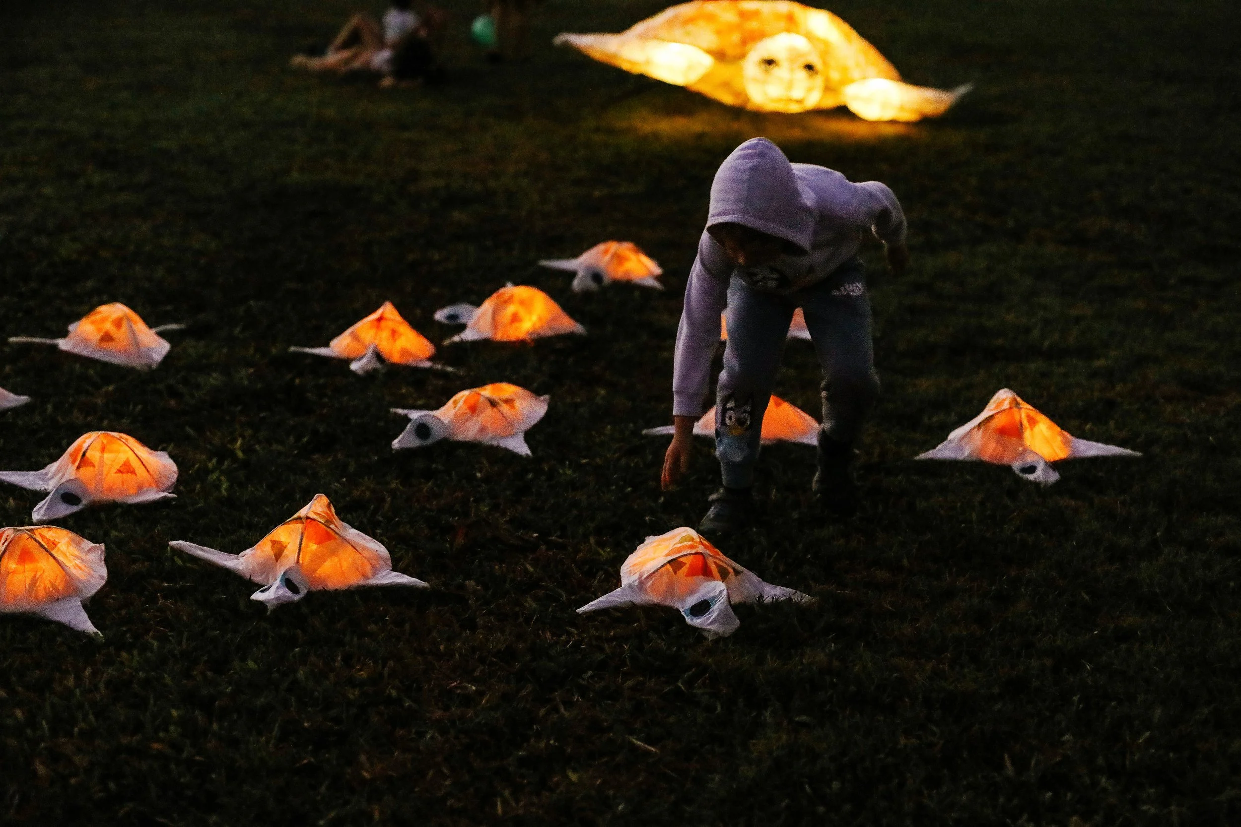 A young child in a gray hoodie is crouched down on a dark grassy surface, surrounded by illuminated paper lanterns shaped like baby turtles, with one larger Turtle lantern in the background.