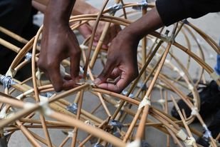 Two hands constructing a bamboo and cane lantern.