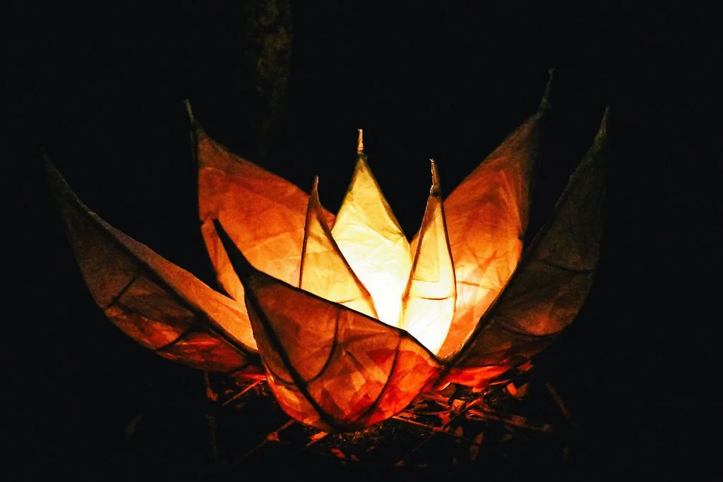 simple lotus.jpeg