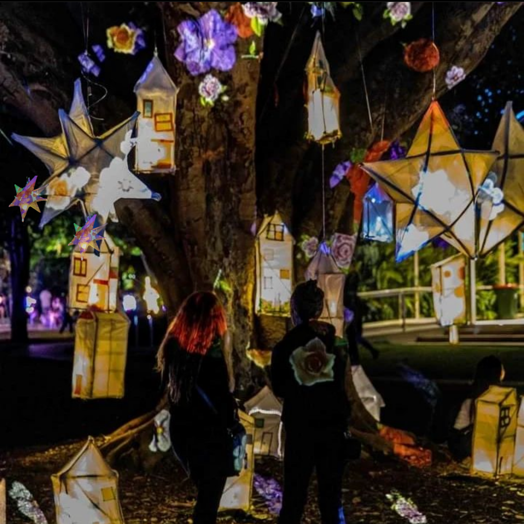 People looking at decorative paper lanterns and star-shaped lanterns hanging from a tree at night.