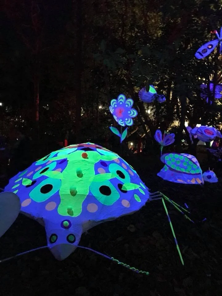 Glow-in-the-dark butterfly lanterns and flower decorations illuminated in a dark outdoor setting.