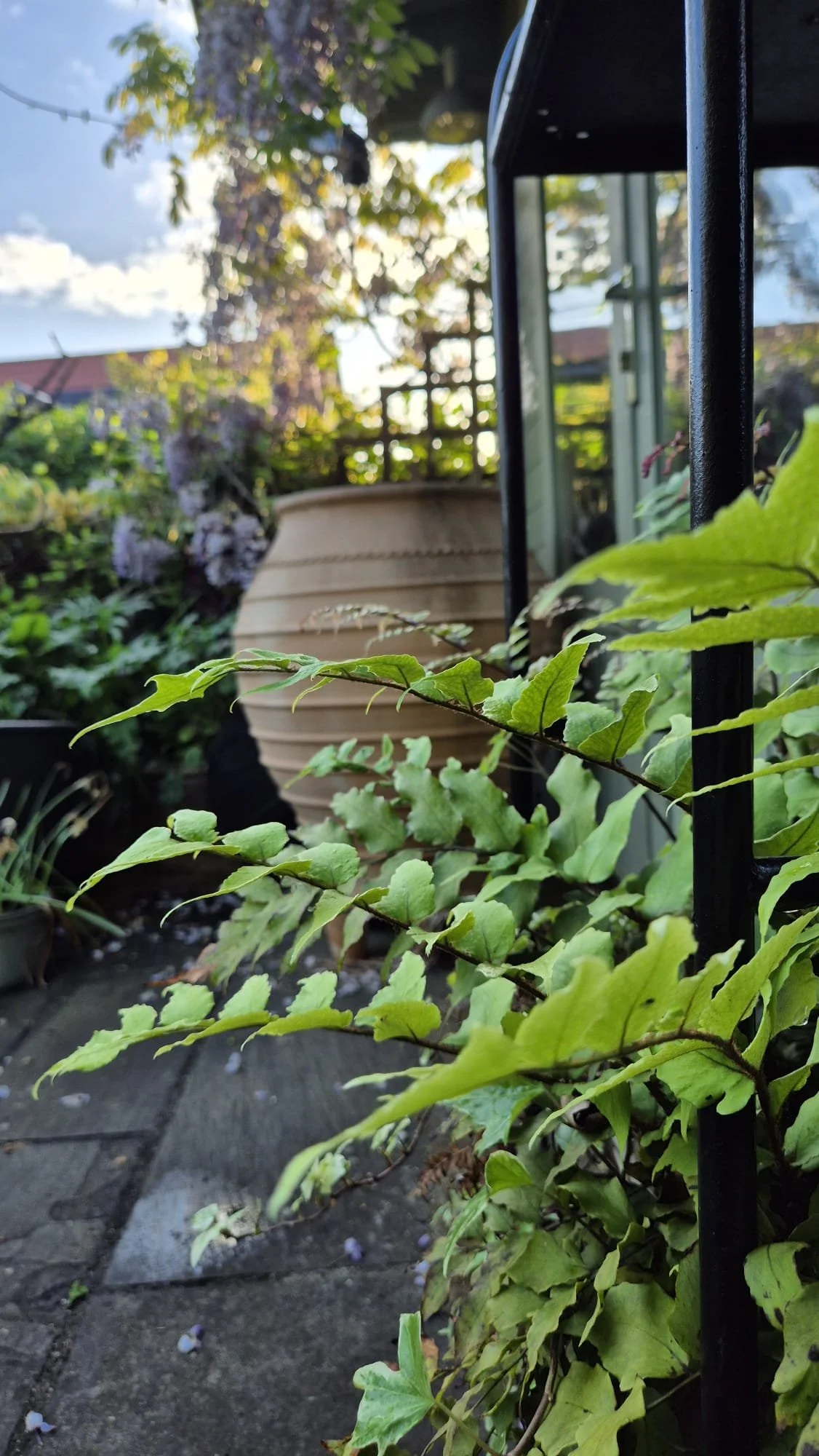 Family Garden