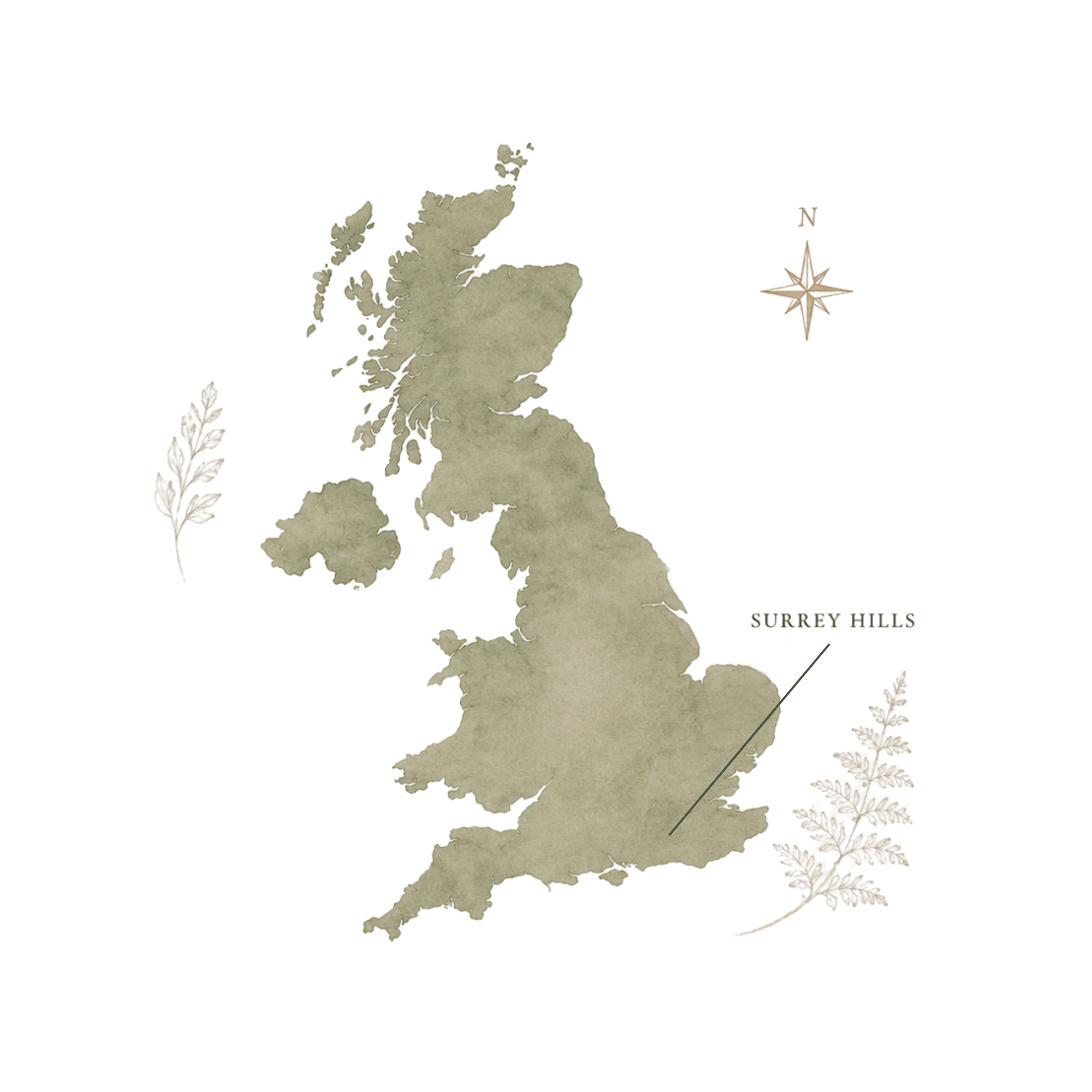 Studio Weald is located in the Surrey Hills - map of the UK