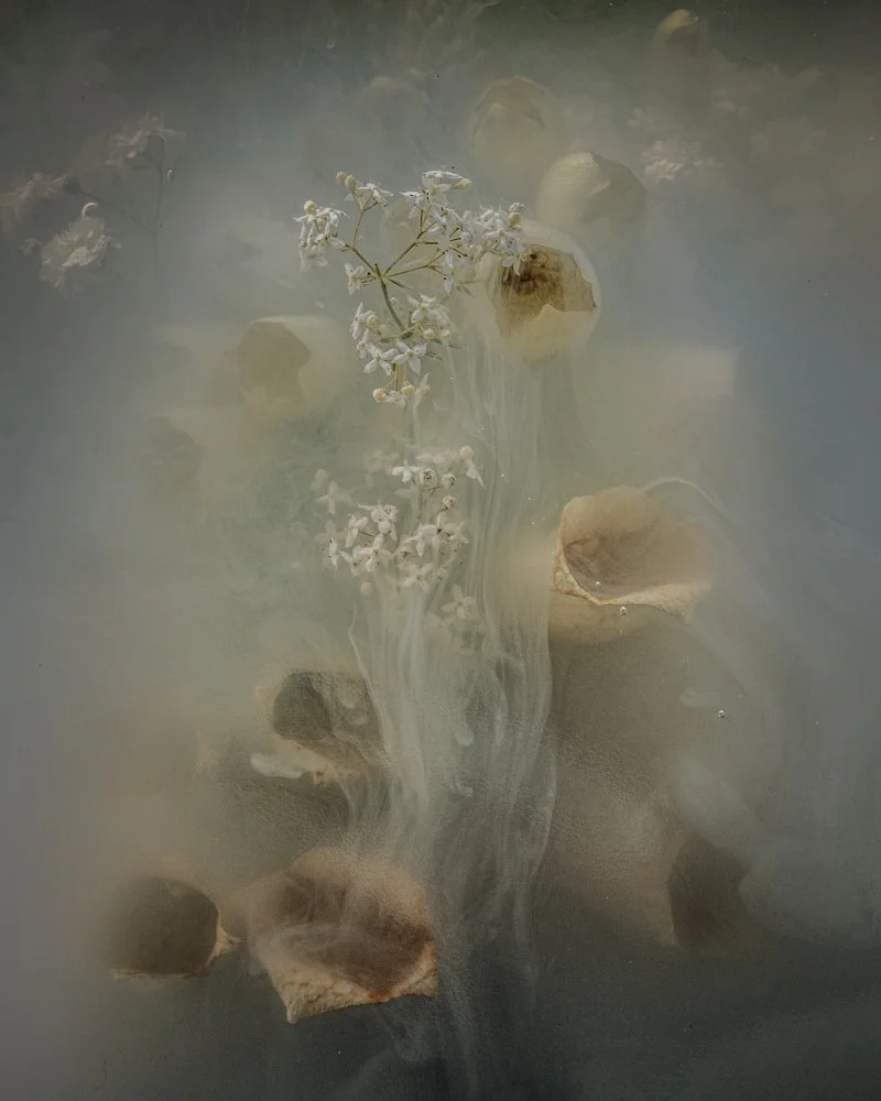 Beneath the Veil Lays Danger