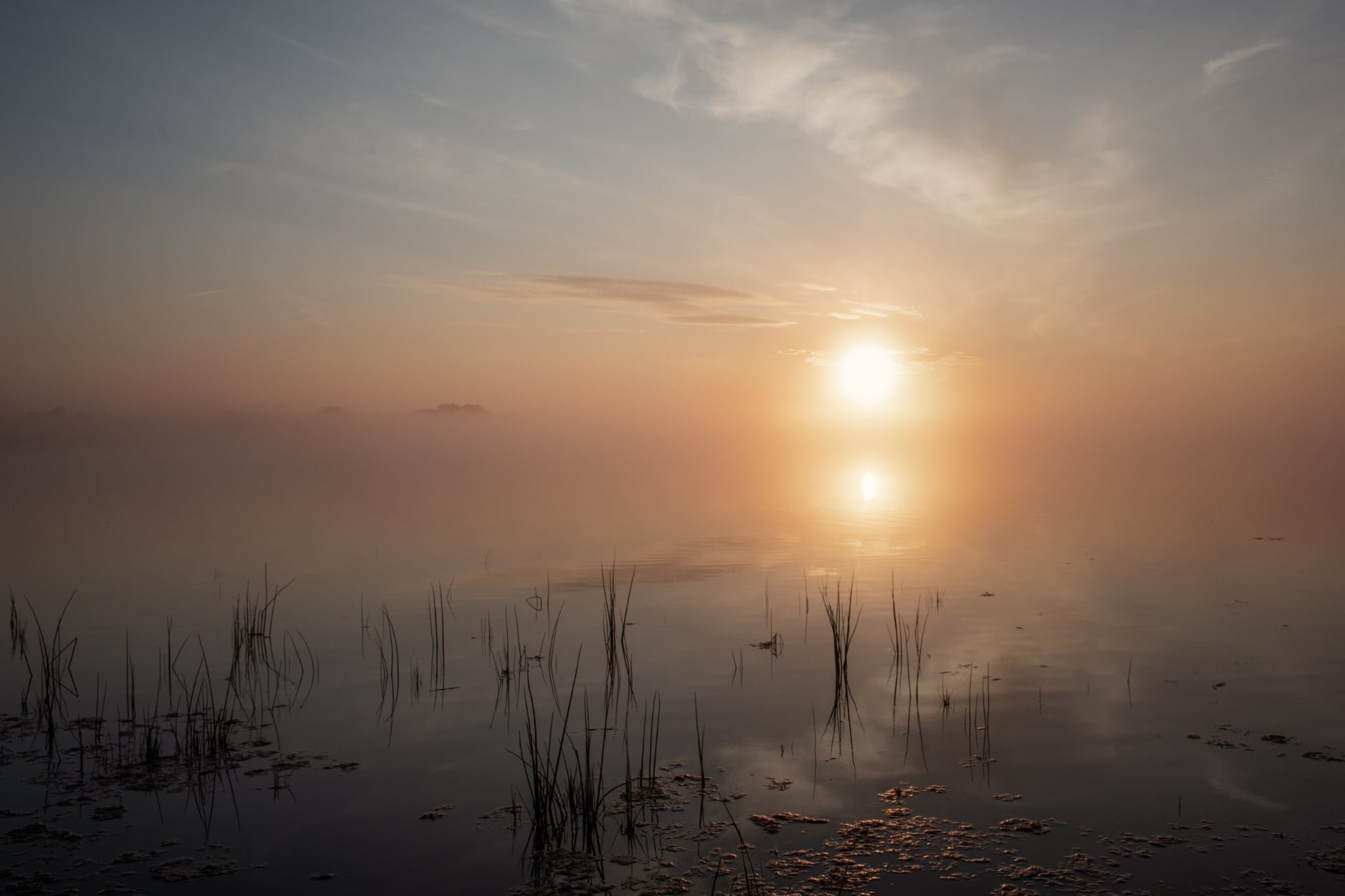 2c5f707d-dfa8-4f54-9bae-6d54be6c14c4.jpg