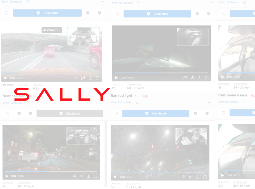 Drive Sally: Improving Fleet Safety