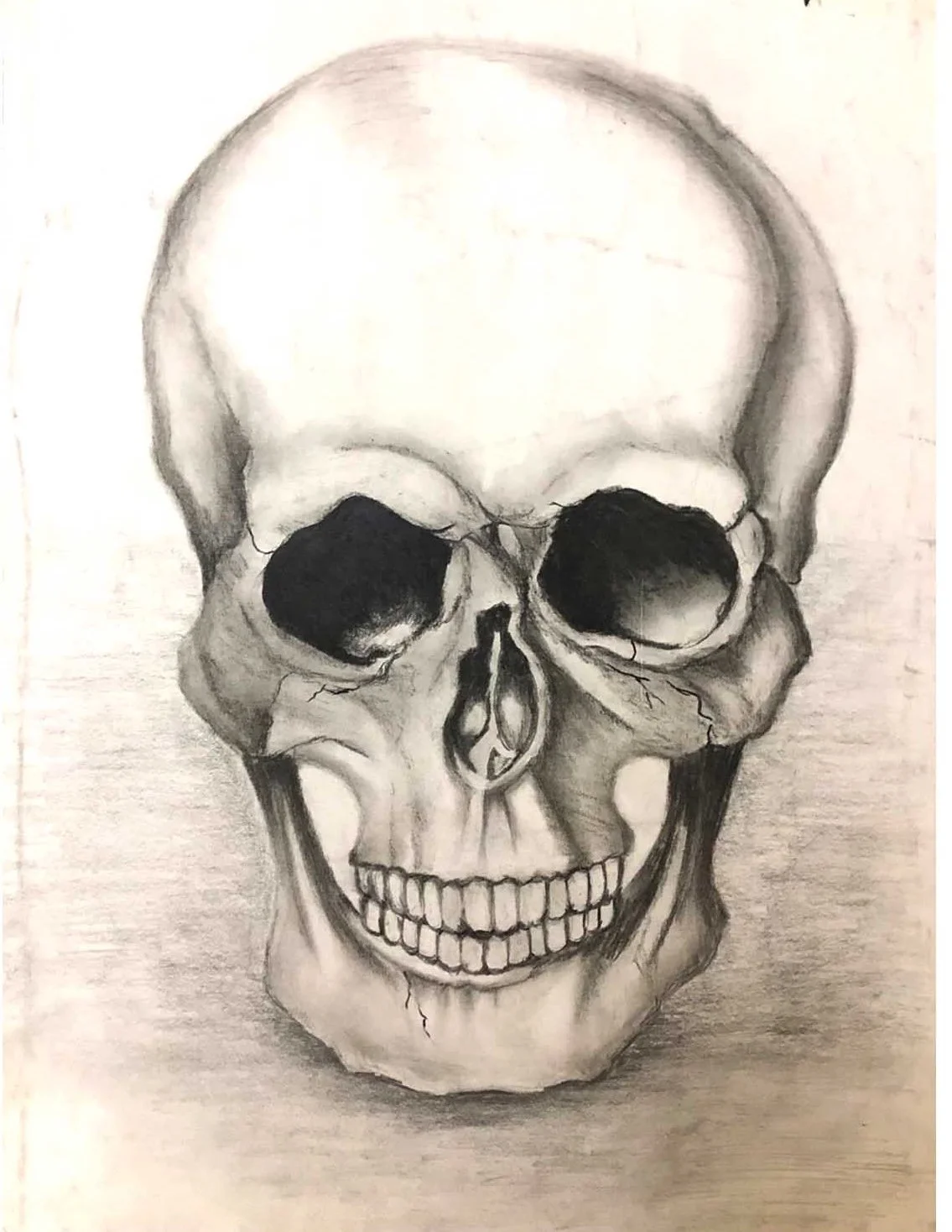 Title: Skull Study 
Medium: Graphite pencil and charcoal on textured sketchbook paper
Dimensions: A4 size 
Format: Spiral-bound sketch pad study