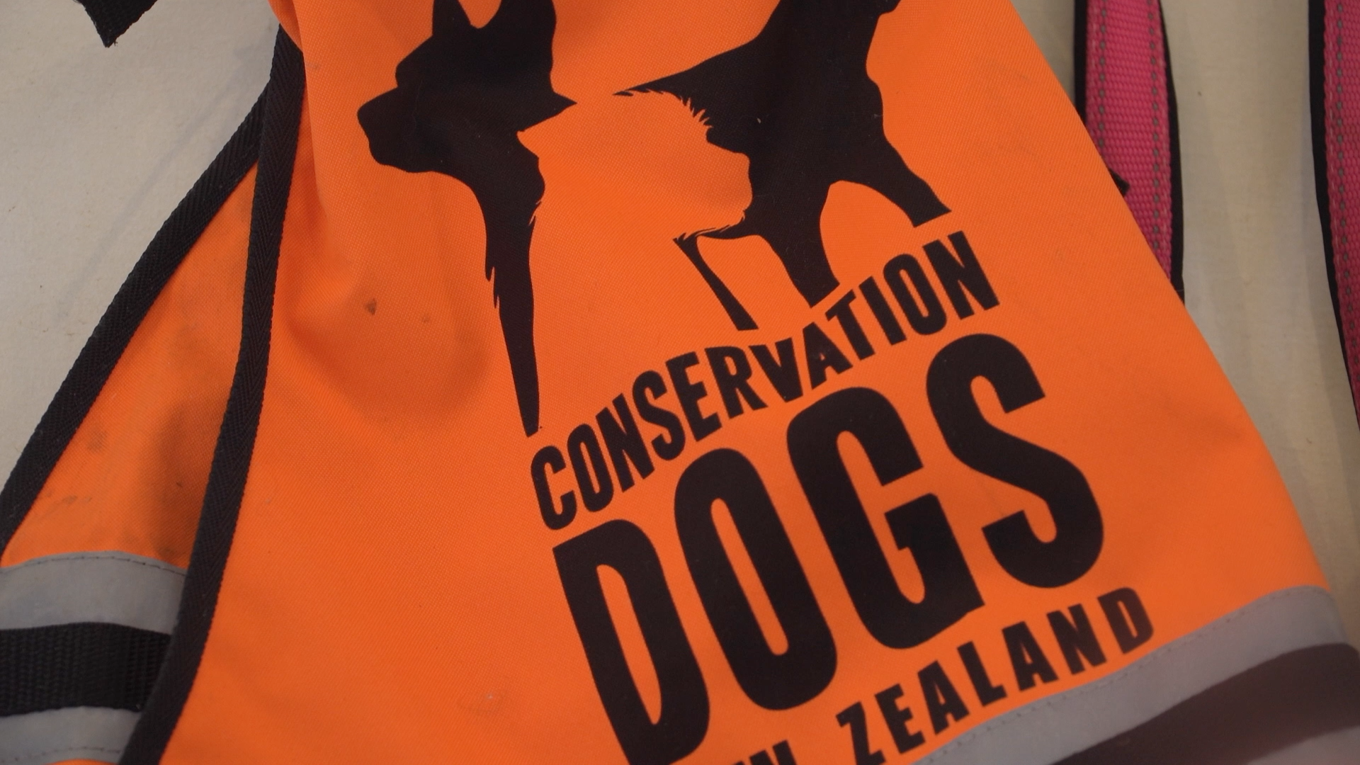 Conservation Dogs New Zealand vest