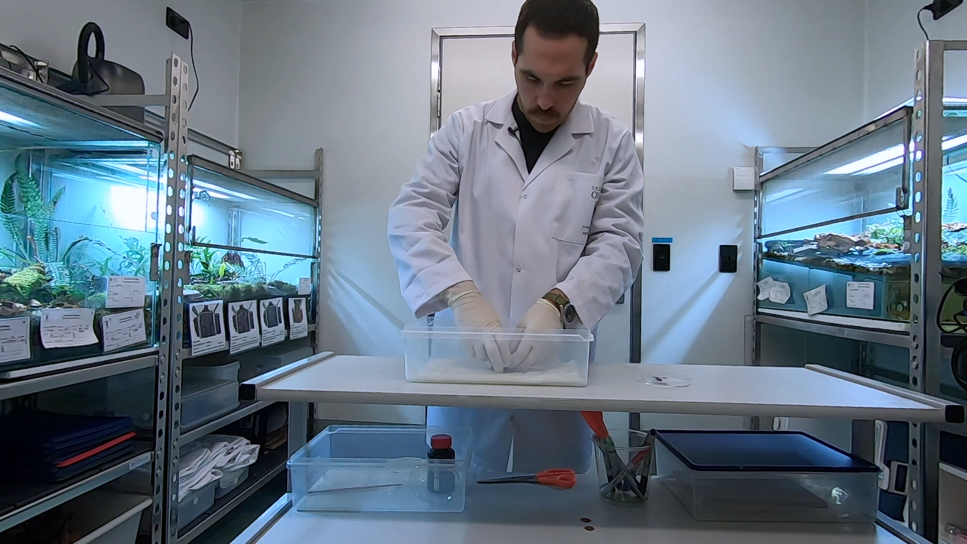 A scientist in a white lab coat and gloves working with a transparent container in a laboratory. There are shelves with plants in tanks on either side of the scientist.