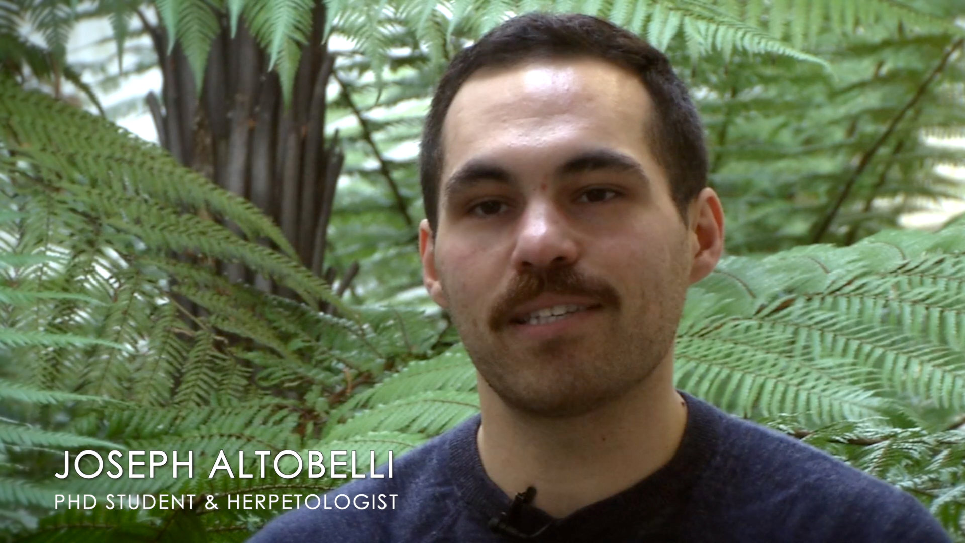 A young man with short dark hair, light skin, and a mustache, standing amid lush green fern plants. He is wearing a dark sweater and is outdoors, possibly in a greenhouse or botanical garden.