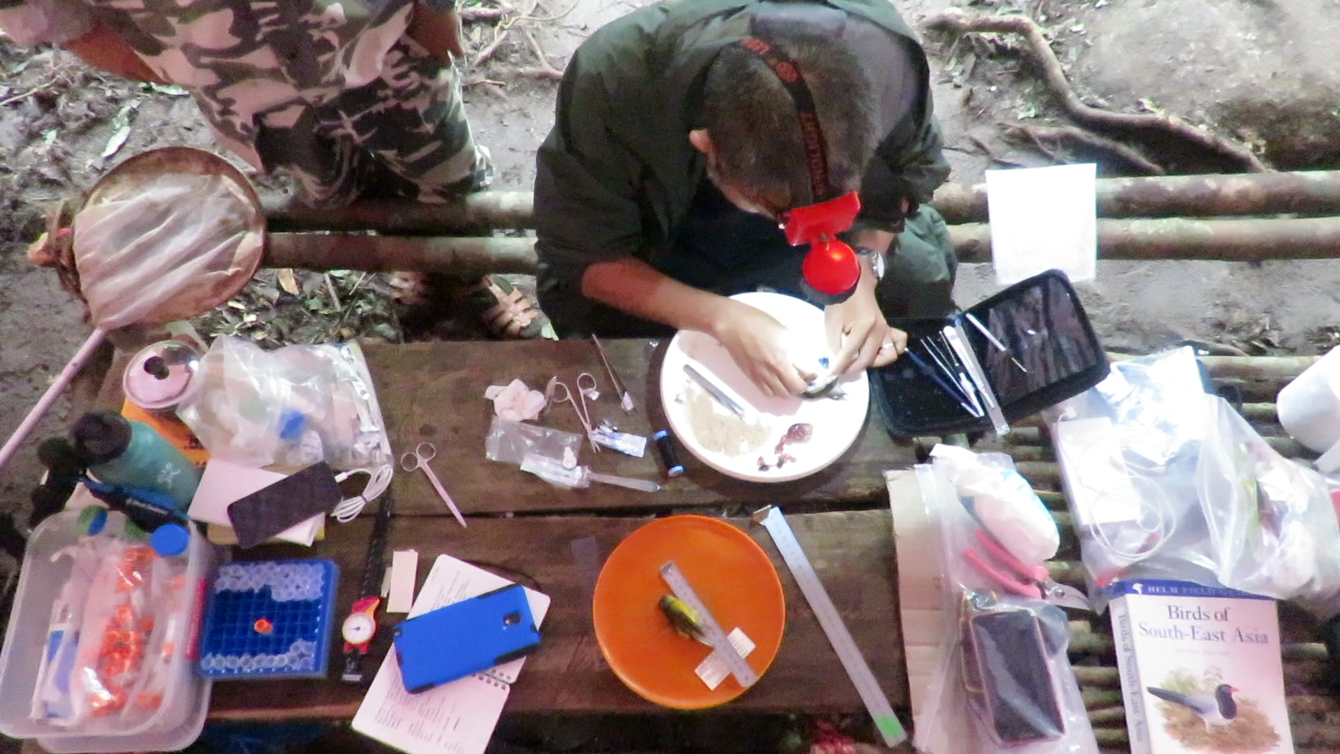 Specimen preparation in Nui GIang Man, Vietnam