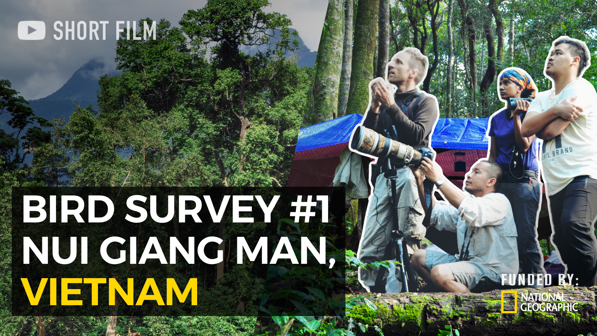 "Documenting the birds of Central Annam" short film thumbnail