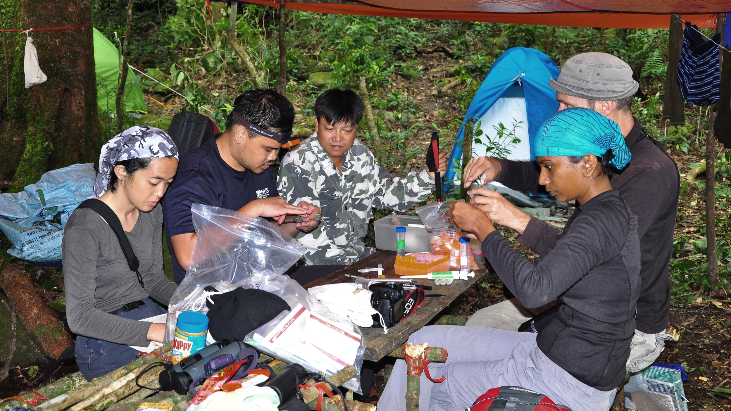 NUS scientists conducting research at a table in a forest, surrounded by tents, with scientific equipment and supplies