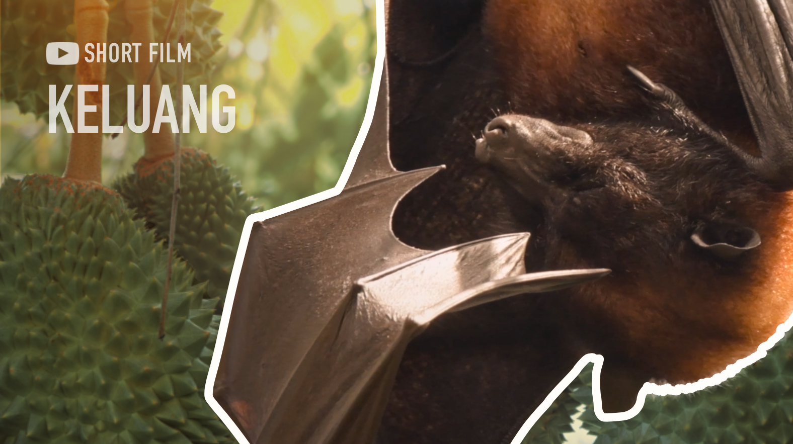 "Keluang di Malaysia" short film YouTube thumbnail