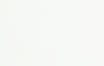 White blank empty page or surface.