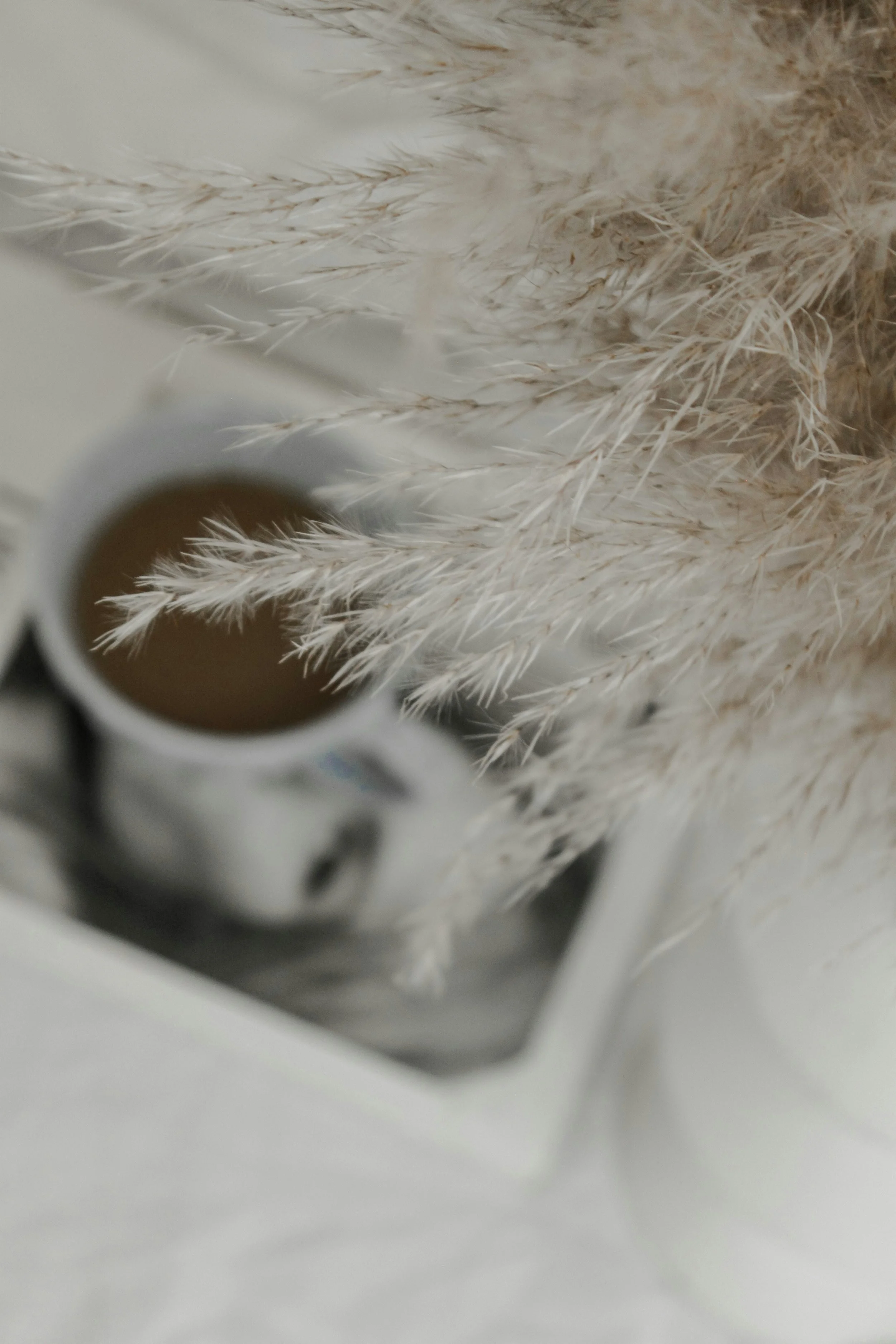 Close-up of a cup of coffee on a white surface surrounded by beige dried pampas grass
