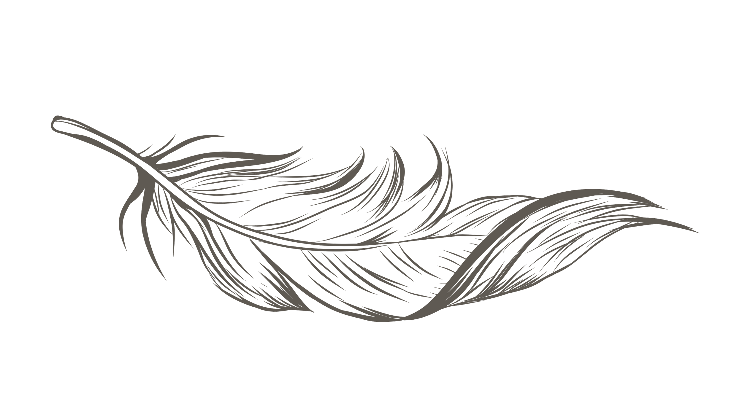 A black background with a stylized, detailed gray feather illustration.