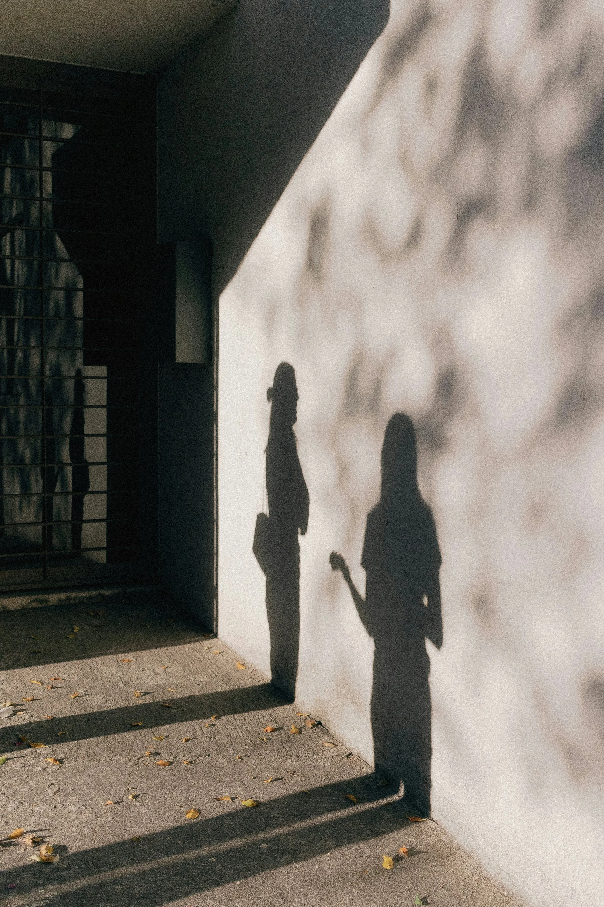 Shadow of three people on a white wall near a building corner, with a metal gate and a sidewalk with fallen leaves.