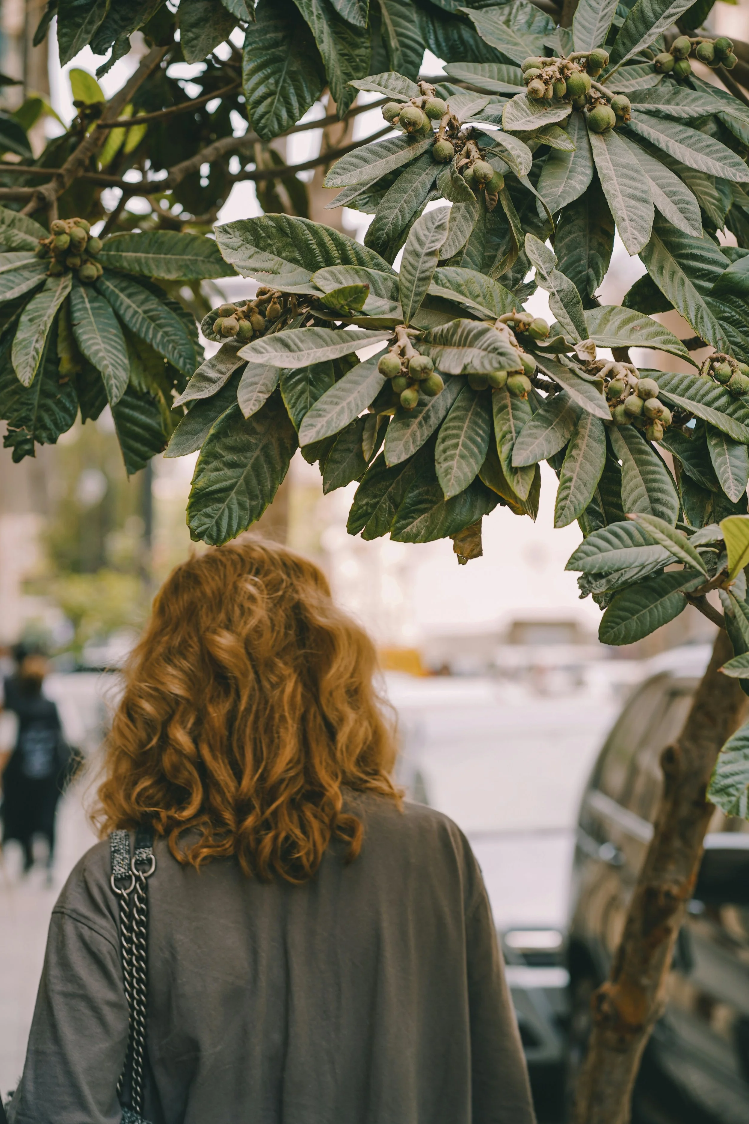 A woman with shoulder-length curly hair standing outdoors near a large leafy tree, facing away from the camera. She is wearing a dark jacket and has a chain-strap purse over her shoulder. In the background, there are parked cars and a blurred urban setting.