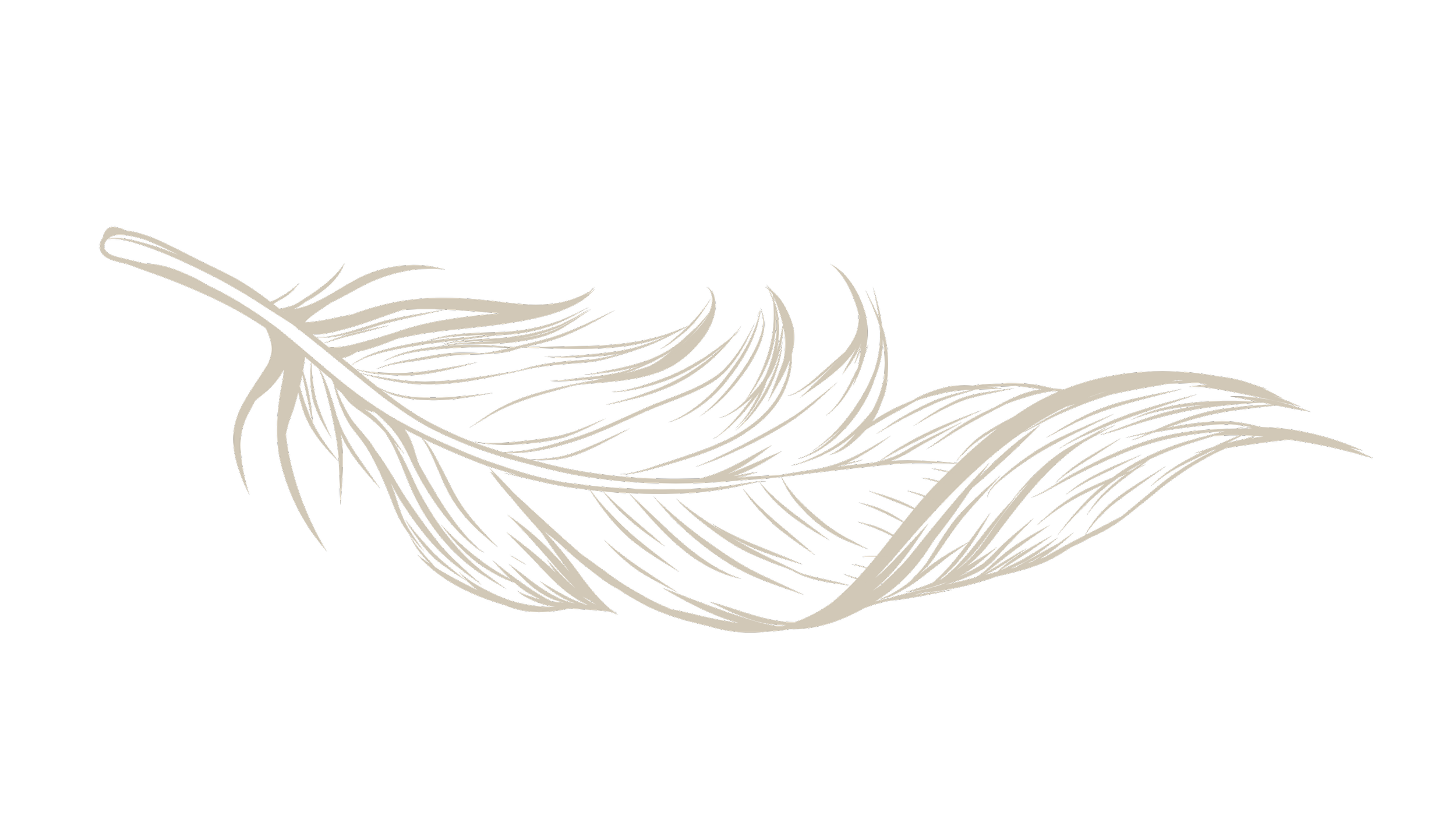 A detailed, monochrome illustration of a feather with intricate line work on a black background.