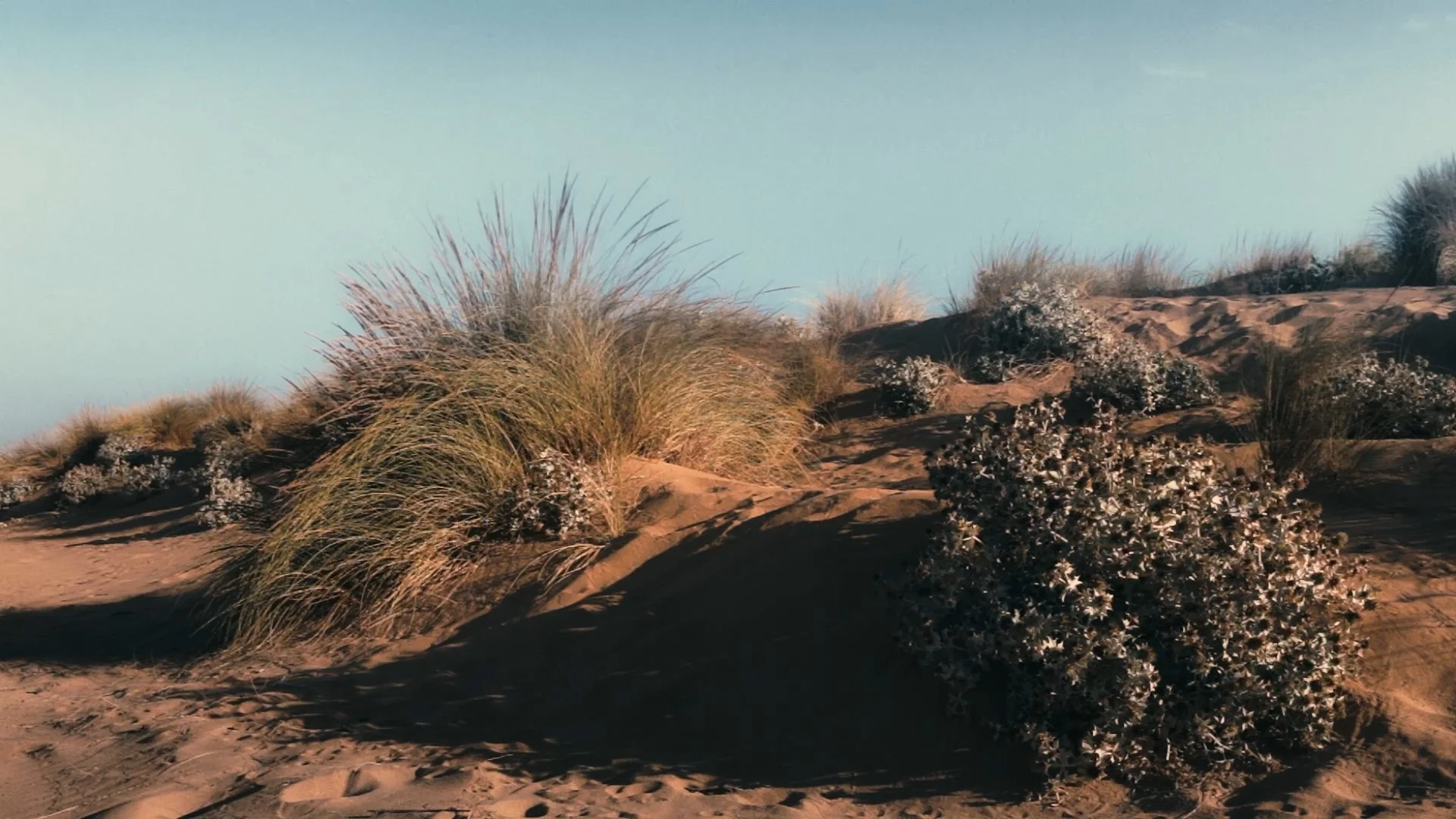 dunes3_1.1.1.jpg