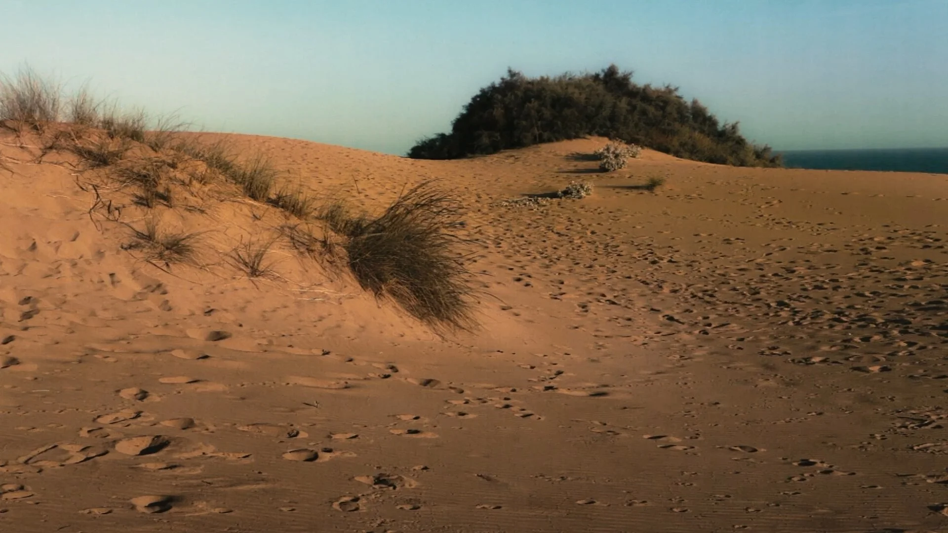 dunes2_1.1.1.jpg