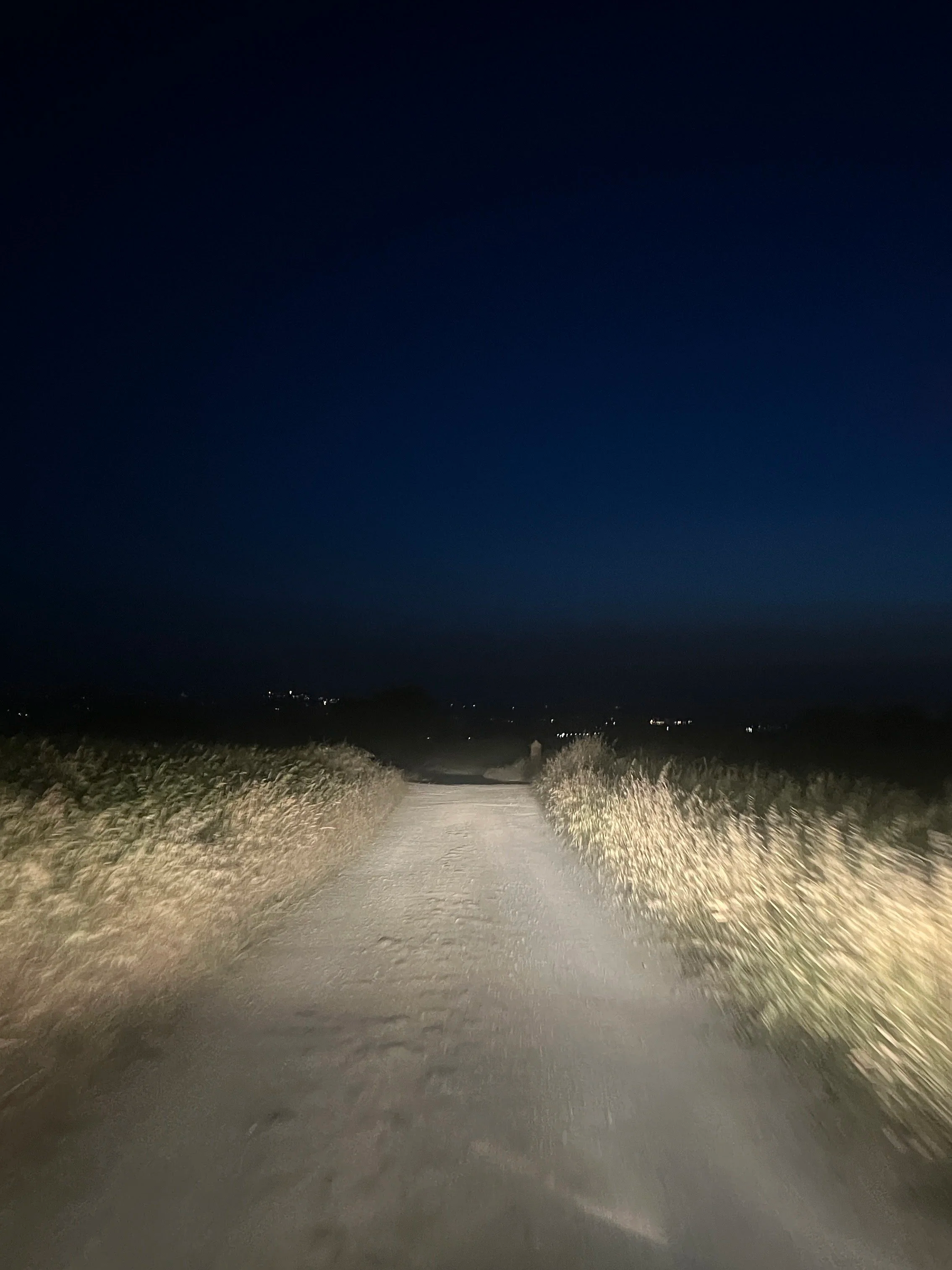 A dirt road at night illuminated by vehicle headlights, with dry grass on either side and a dark, clear sky above.