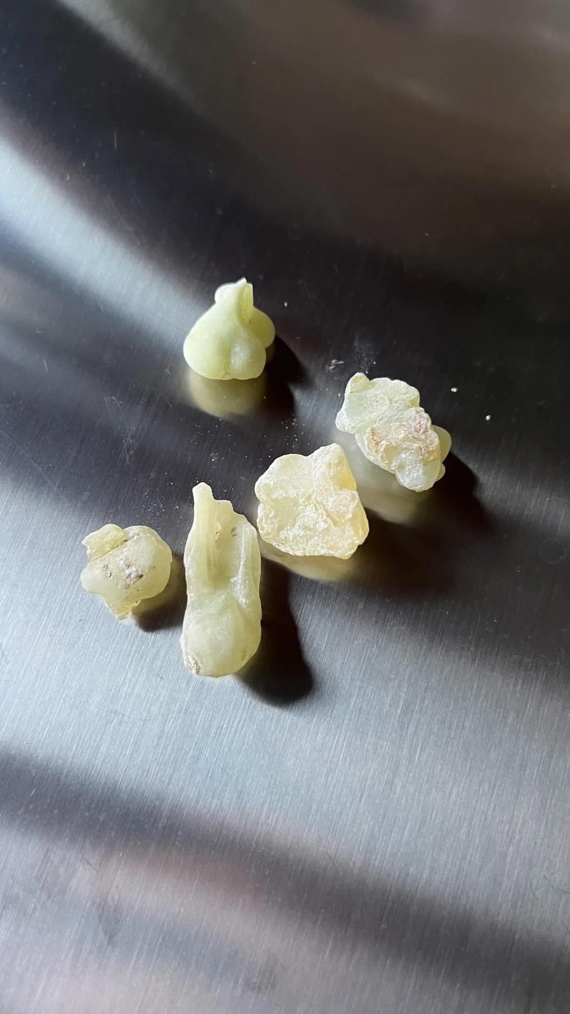 Several Raw ginger roots on a metallic surface.