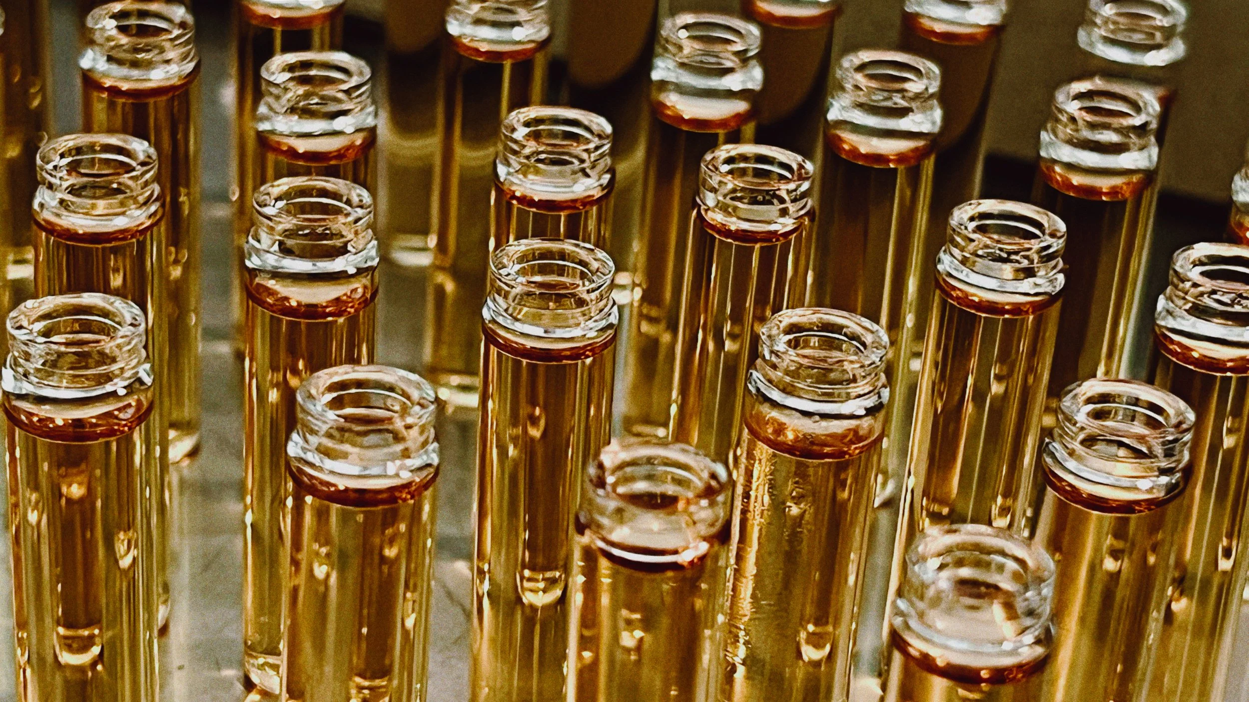 Close-up view of multiple test tubes with golden colored liquid, arranged in a laboratory setting.