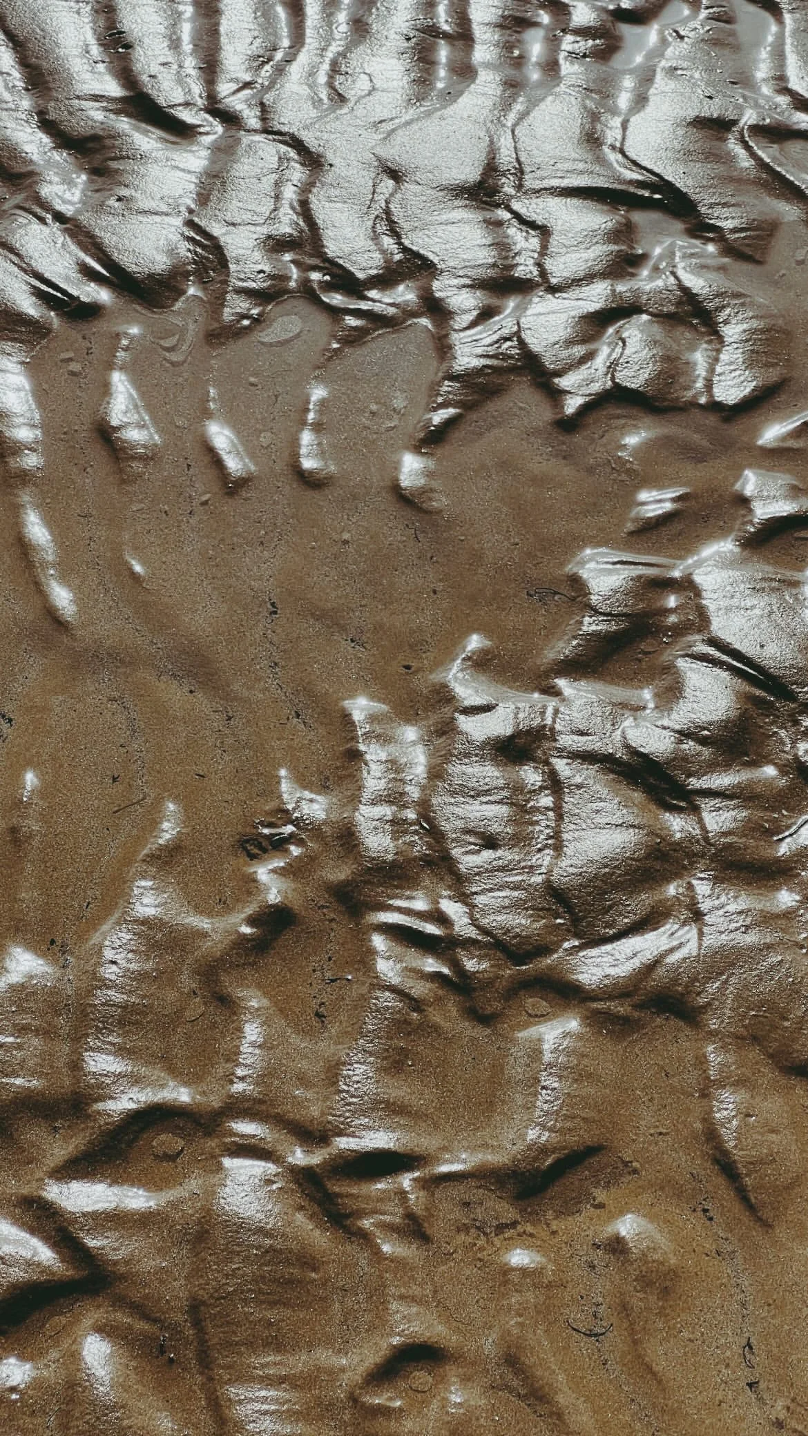 Close-up of wet, textured sand with small ripples and shiny patches.