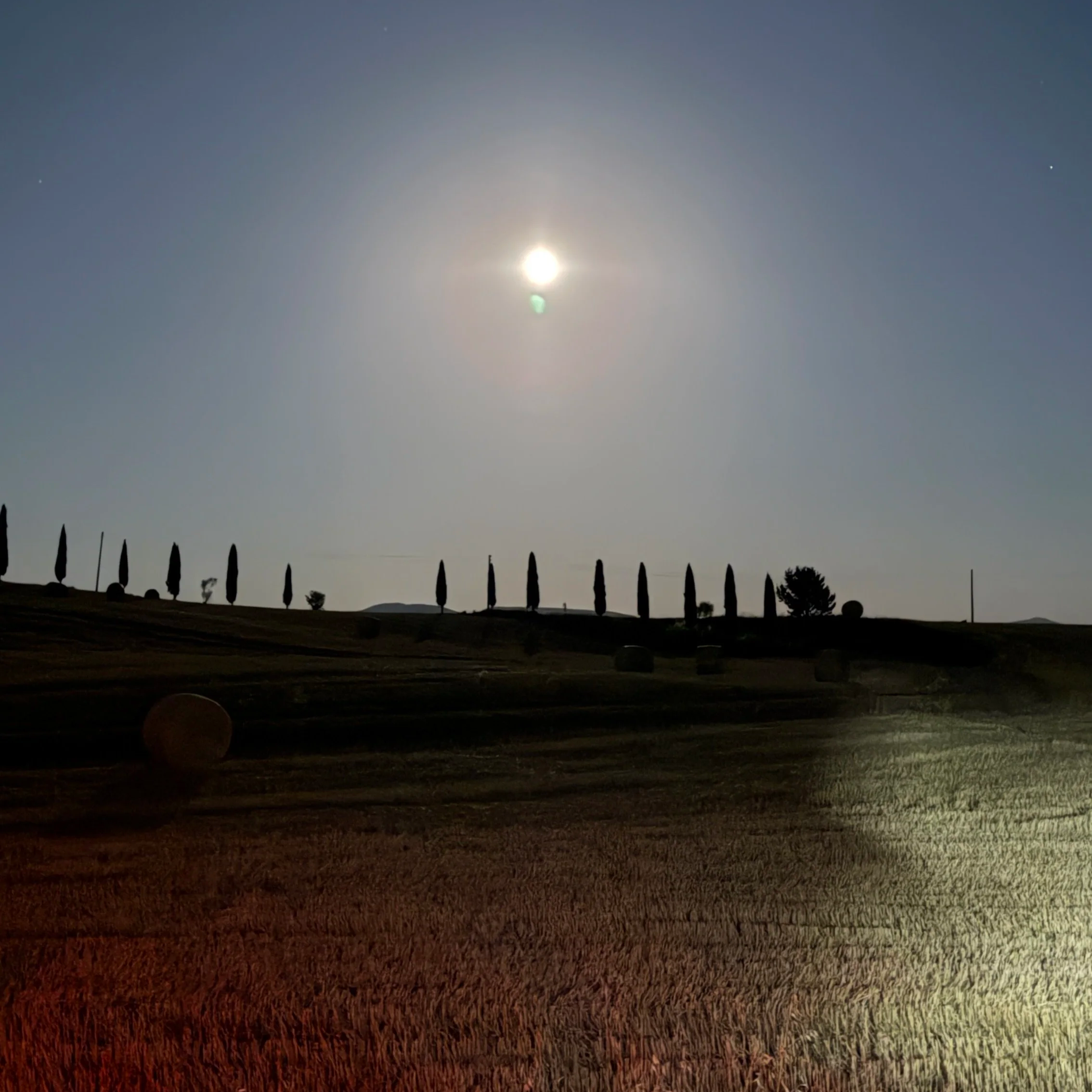 Sunset or sunrise over a landscape with silhouettes of tall trees and a grassy field.