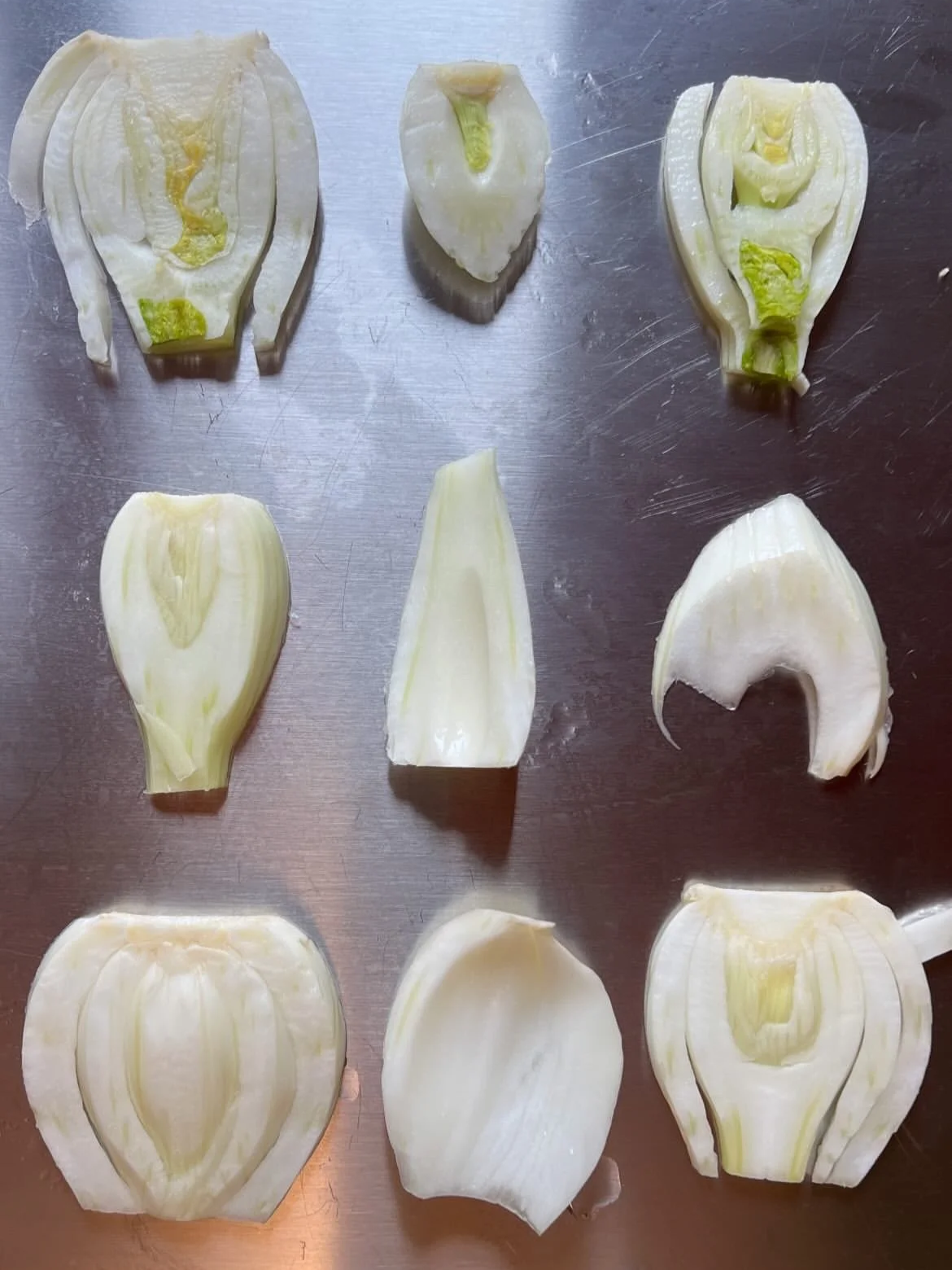 Various sliced white onions arranged on a metal surface, showing different parts and layers of the onions.