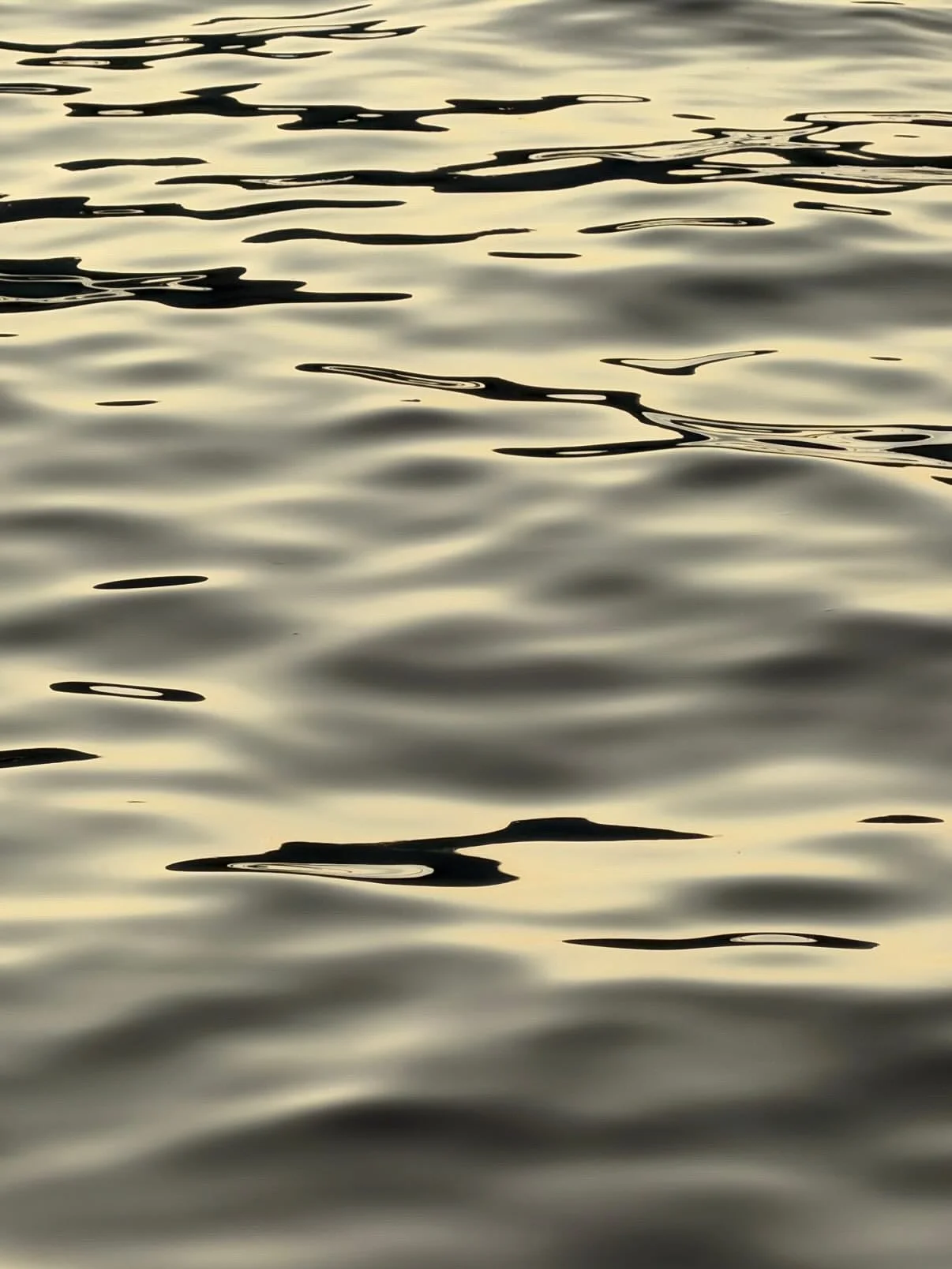 Close-up of water with gentle ripples and reflections, illuminated by soft, warm light.