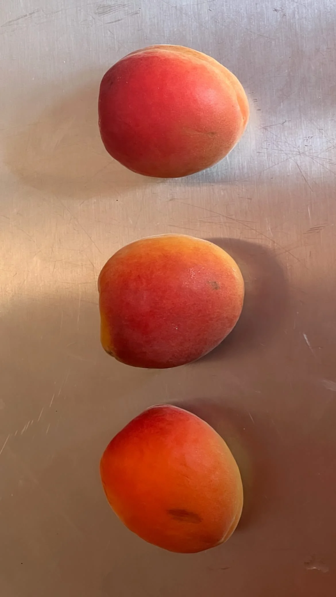 Three ripe peaches on a metallic surface.