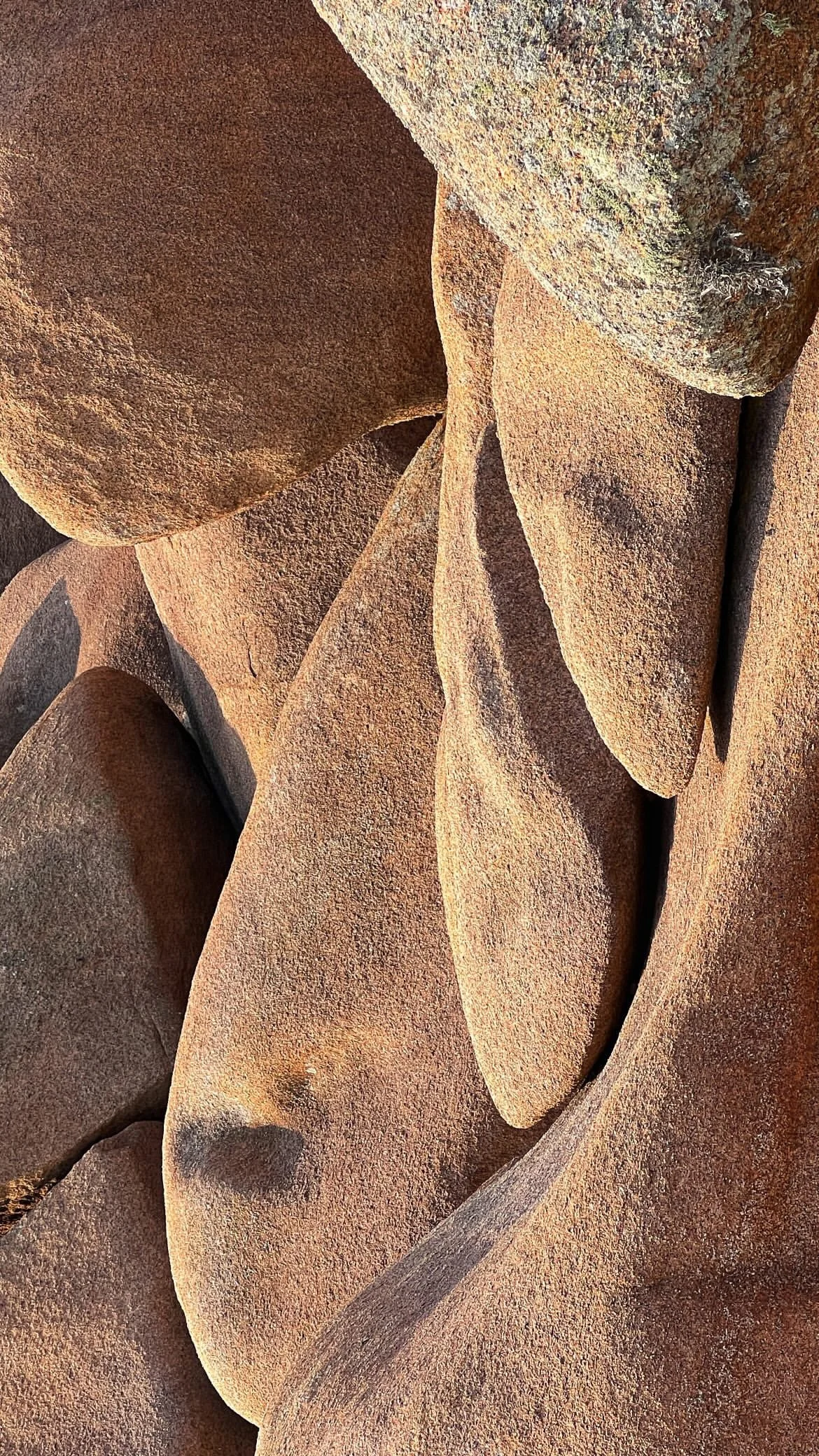 Close-up of a collection of sandstone rocks with varied shapes and textures.