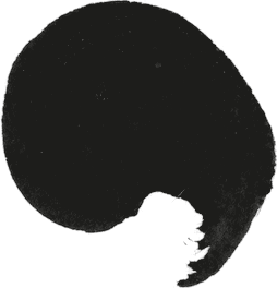 LSS brush visual language brush comma black