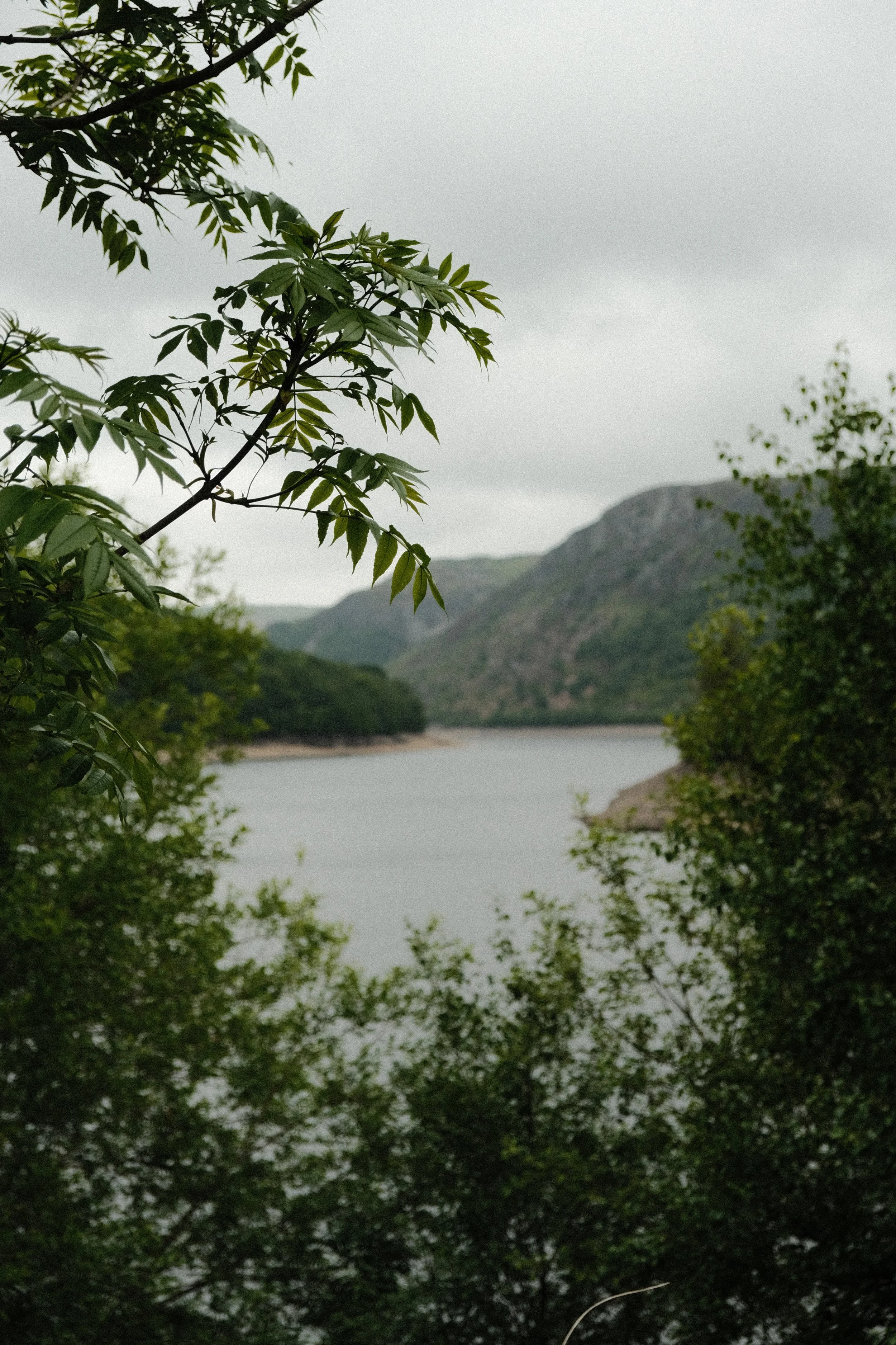 A landscape view of a river surrounded by green trees with mountains in the background under a cloudy sky.
